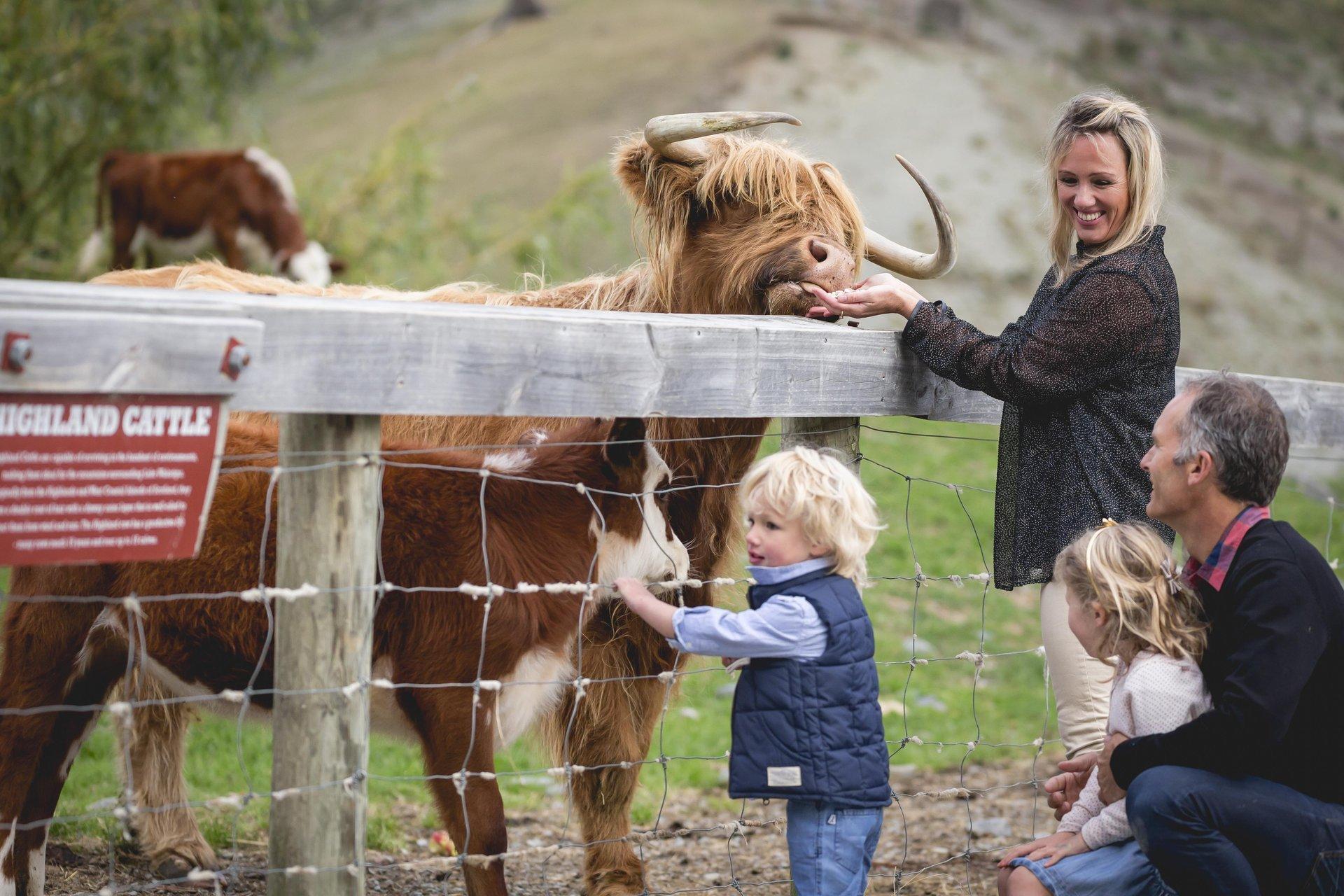 Queenstown Lake Cruise & Walter Peak Farm Tour