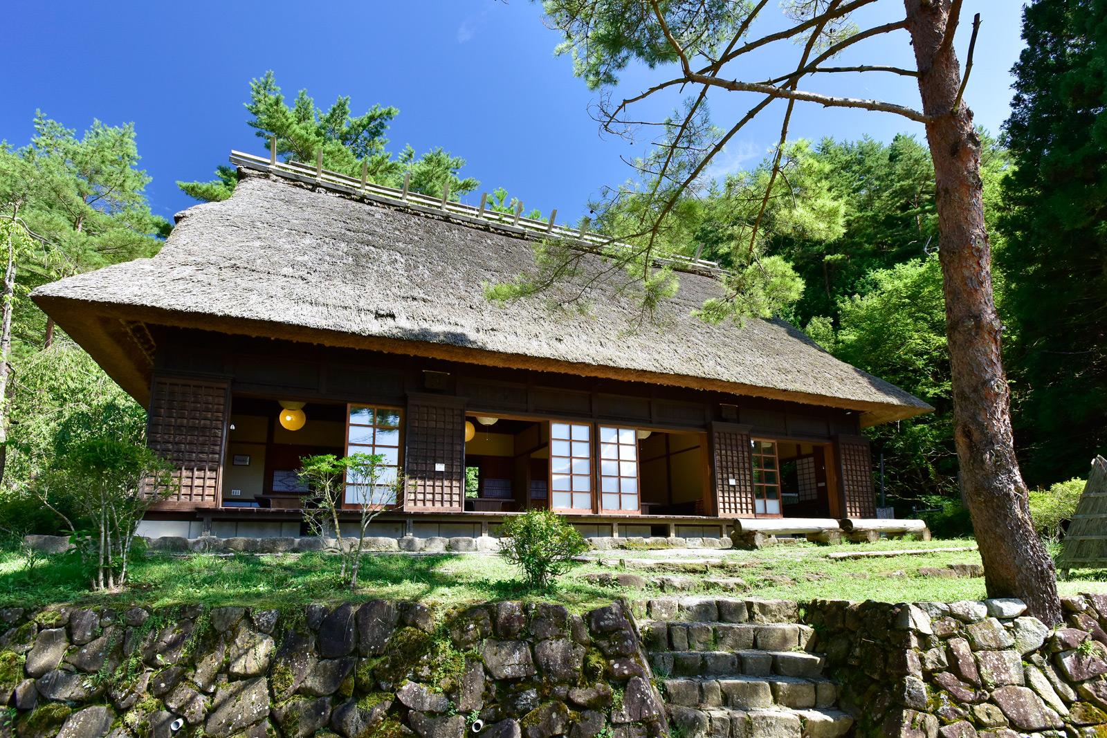 Mt. Fuji Day Tour: Lake Kawaguchi, Oshino Hakkai & Chureito Pagoda from Tokyo