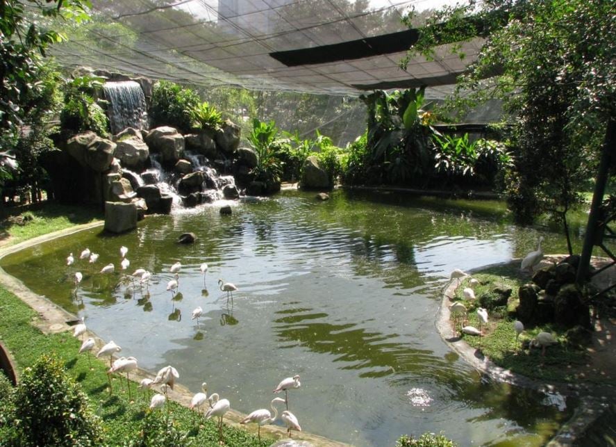Kuala Lumpur Nature & Wildlife Private Tour