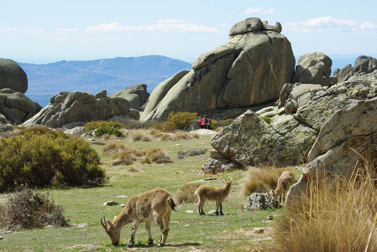 Sierra de Guadarrama National Park Hiking Adventure