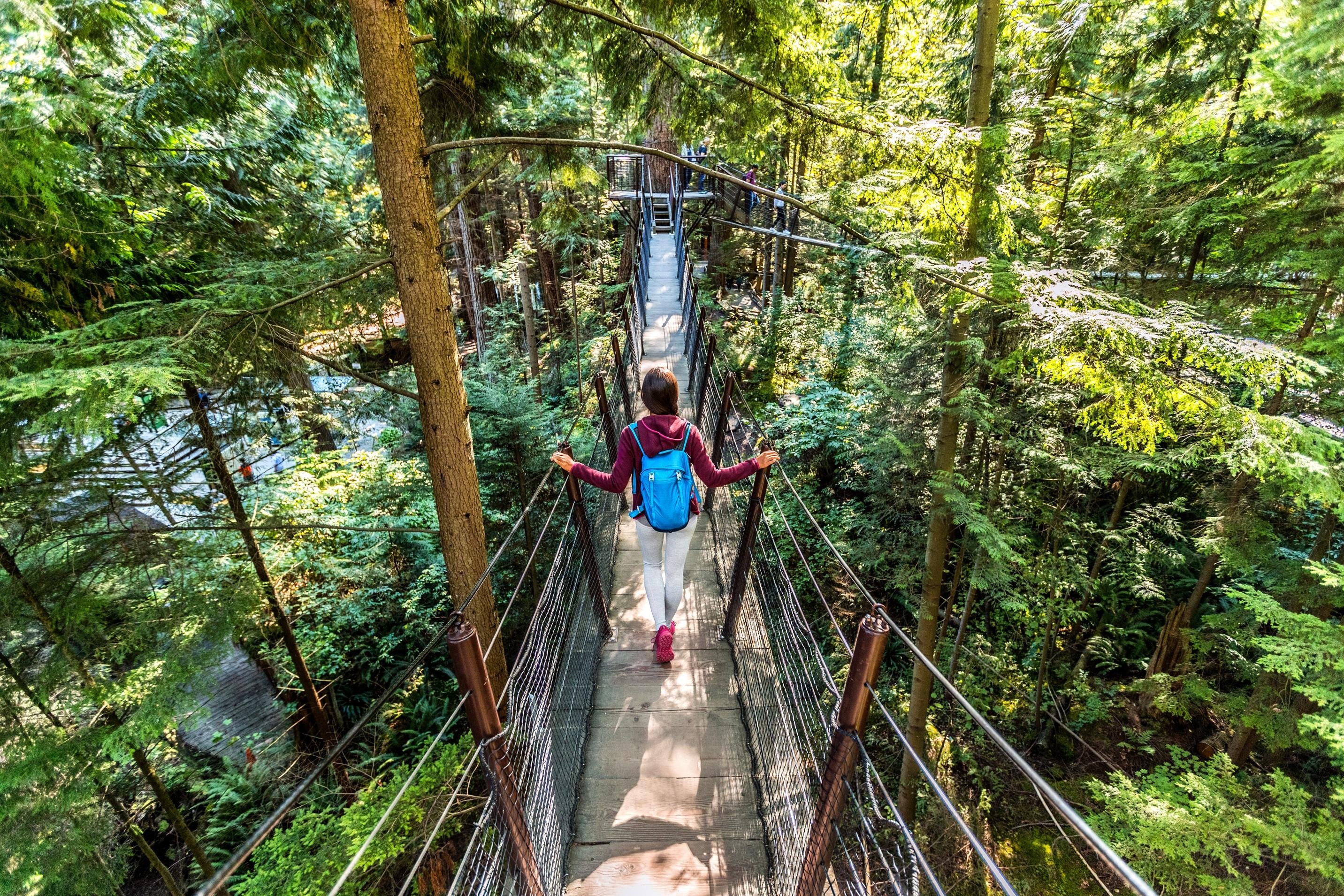Vancouver Highlights: Capilano Suspension Bridge & Lookout Tour