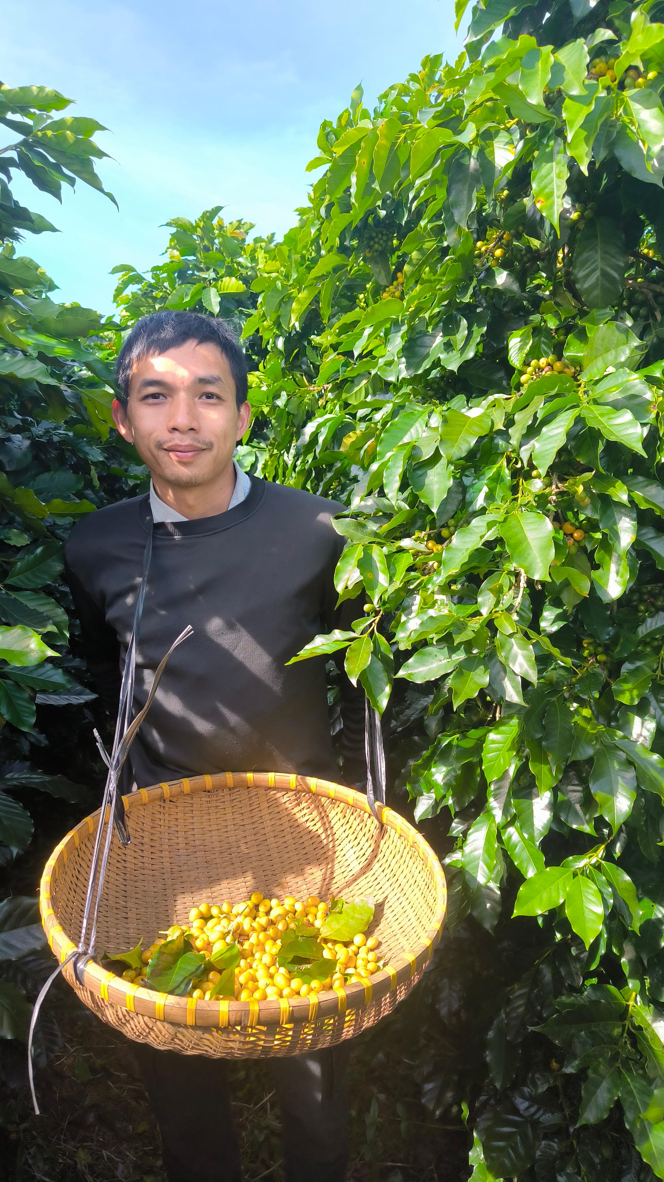 coffee tour in Dalat — photo 8