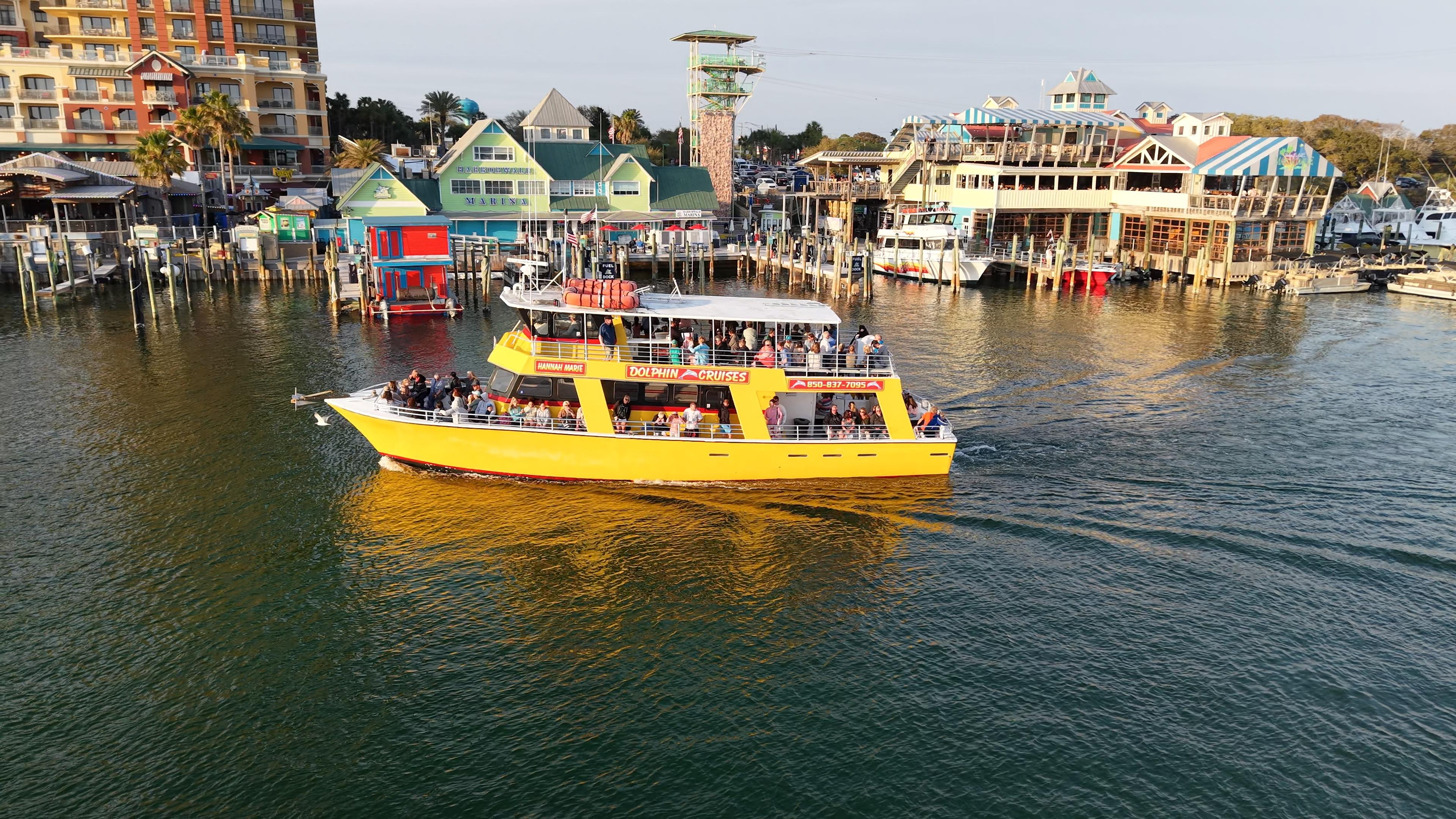 Glass-Bottom Dolphin Cruise in Destin