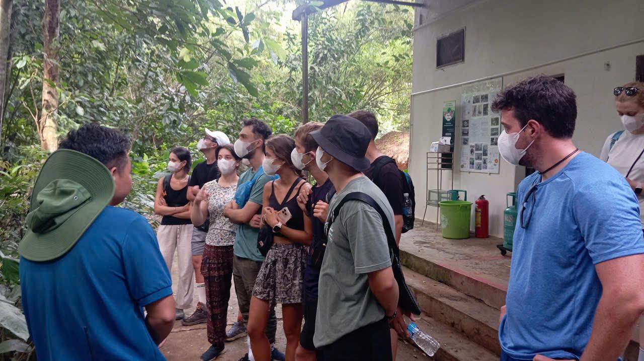 Cuc Phuong National Park: Jungle Trek & Wildlife Day Trip from Ninh Binh