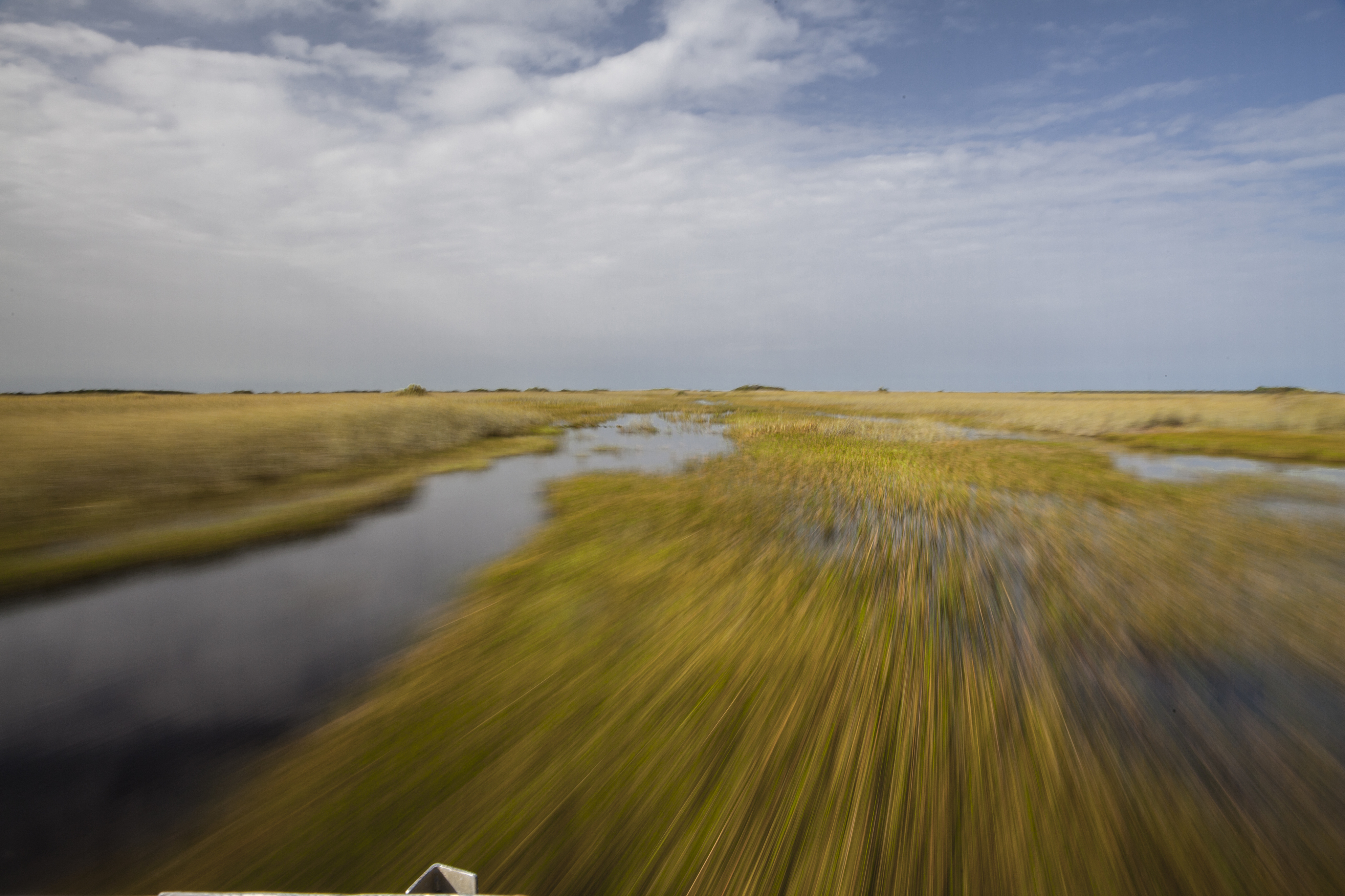 Everglades Day Safari from Fort Lauderdale