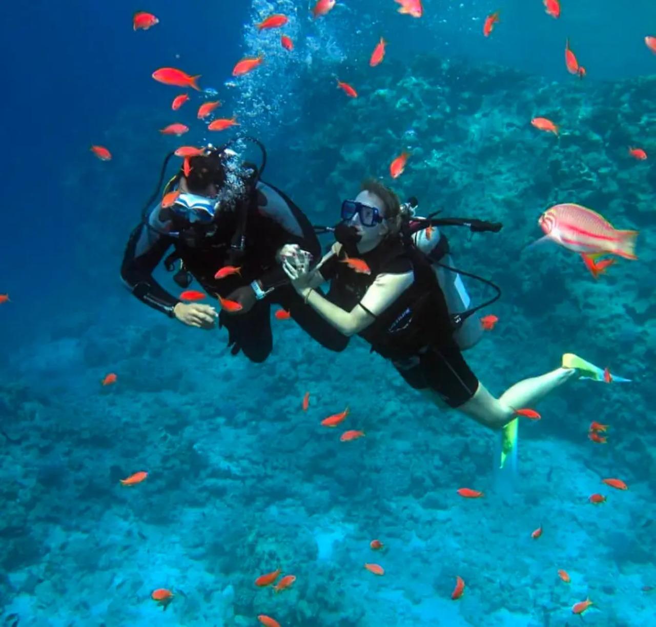 Sharm El Sheikh: Ras Mohamed & White Island Dive & Snorkel Day Trip
