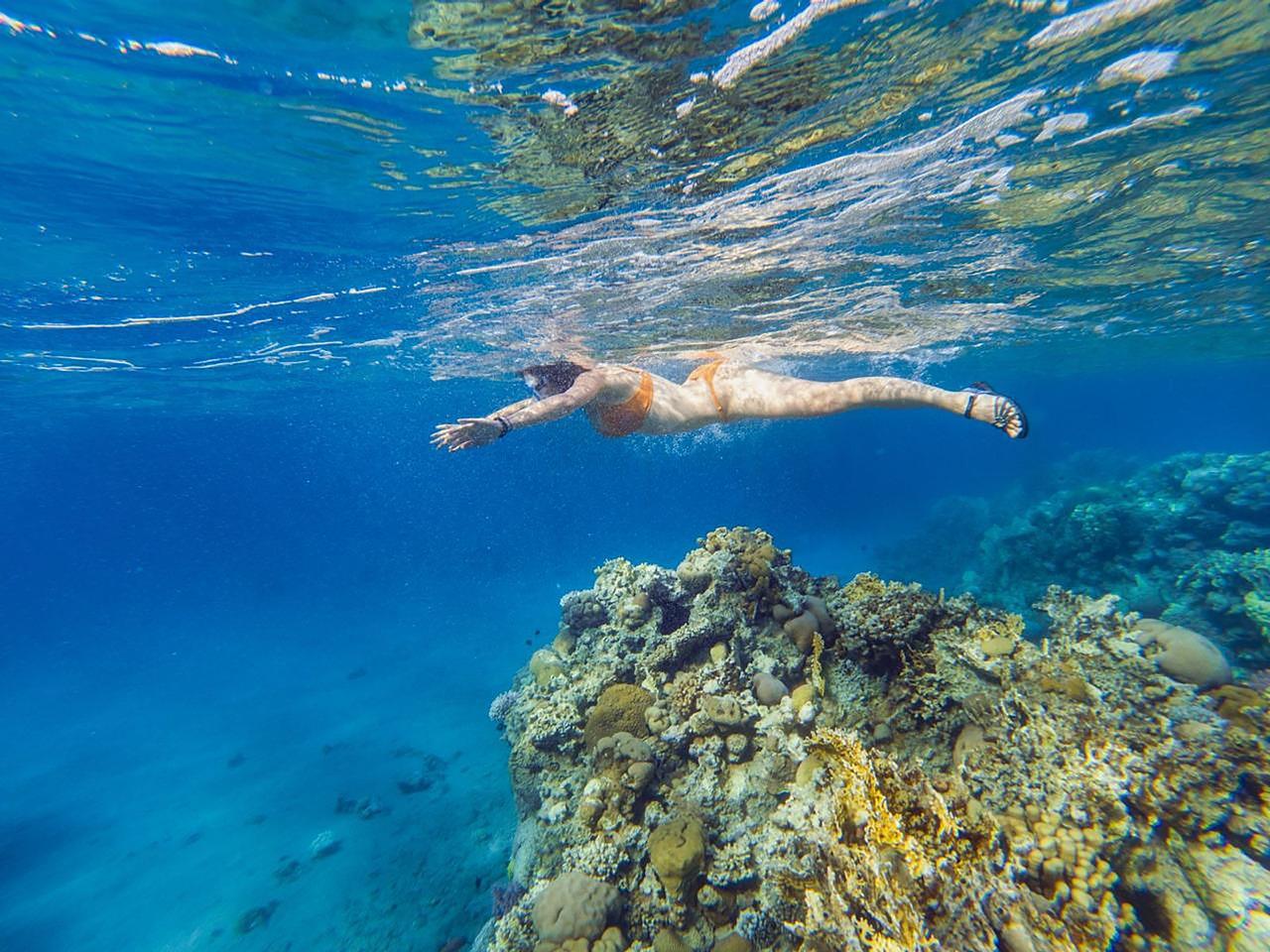 Sharm el-Sheikh: White Island & Ras Mohamed National Park Snorkeling Day Trip