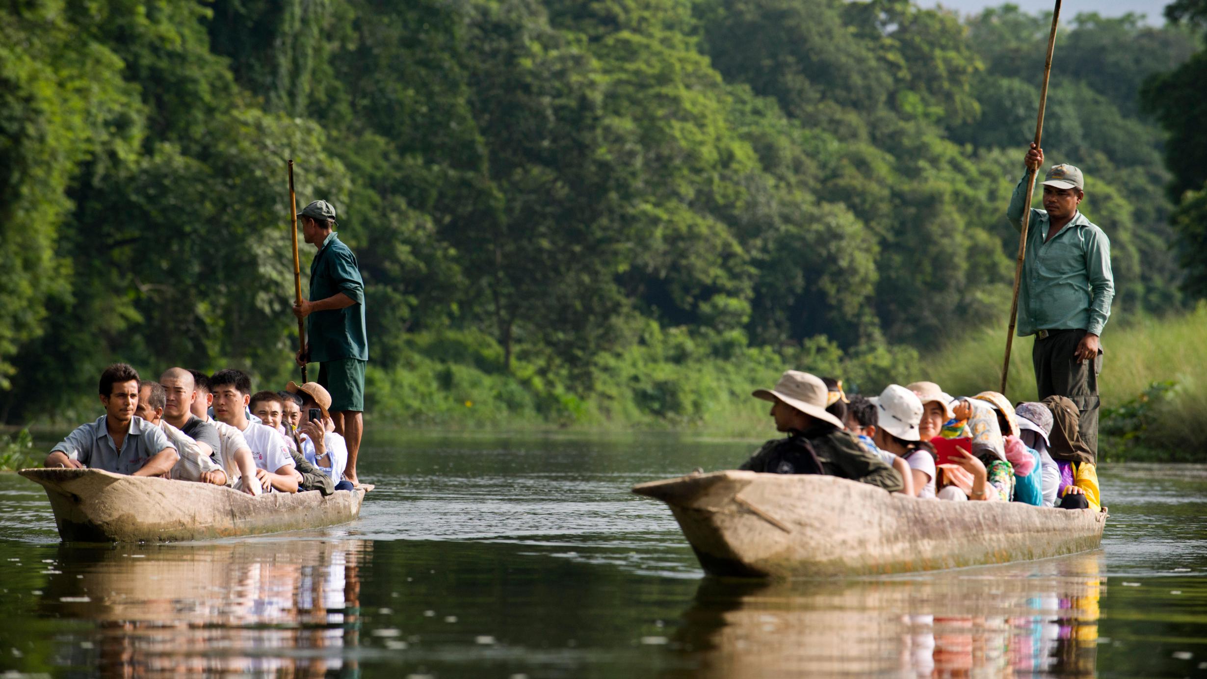 Chitwan Jungle Safari: 3-Day Wildlife & Culture Adventure