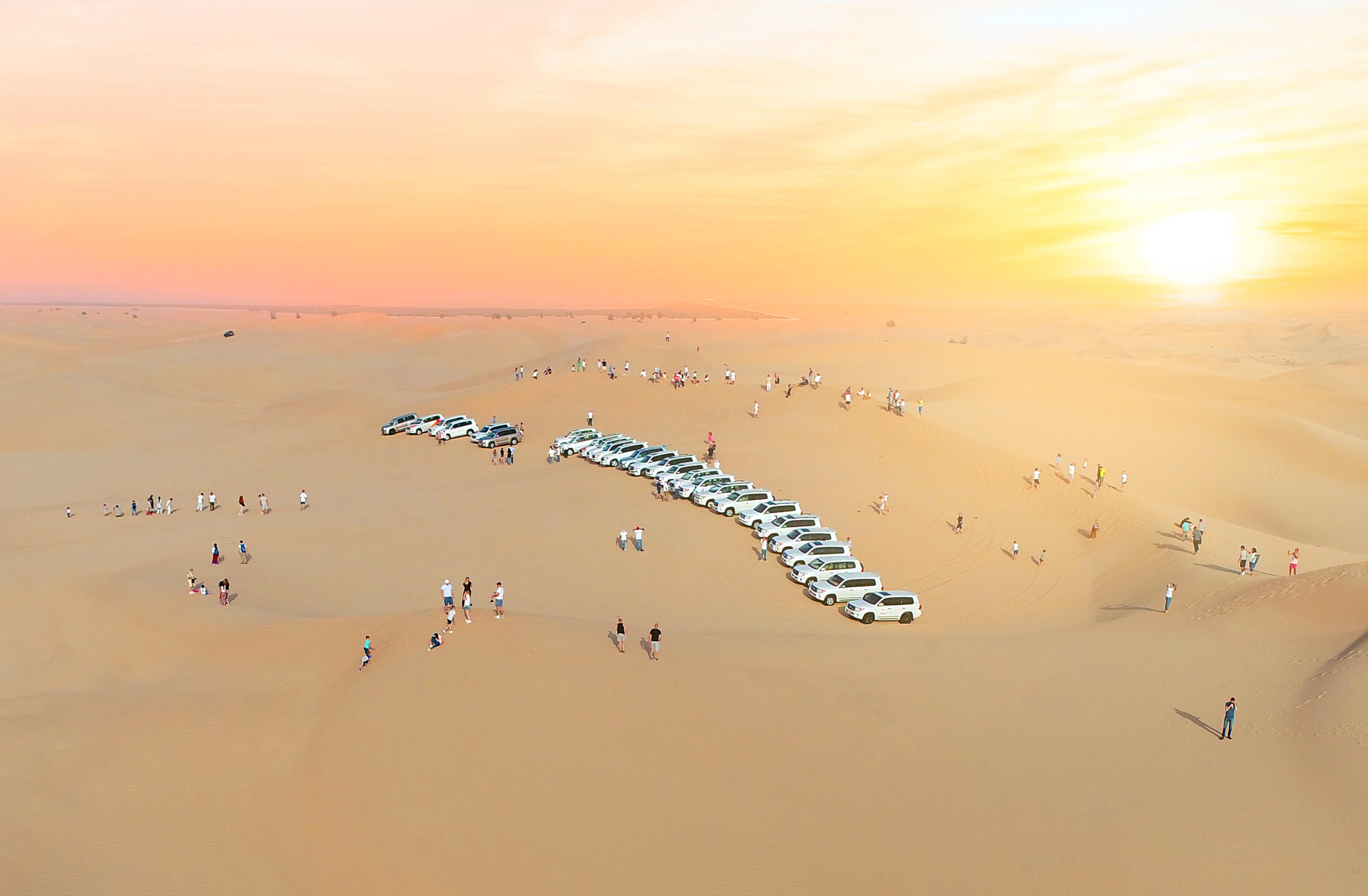 Abu Dhabi Desert Dune Bashing Safari