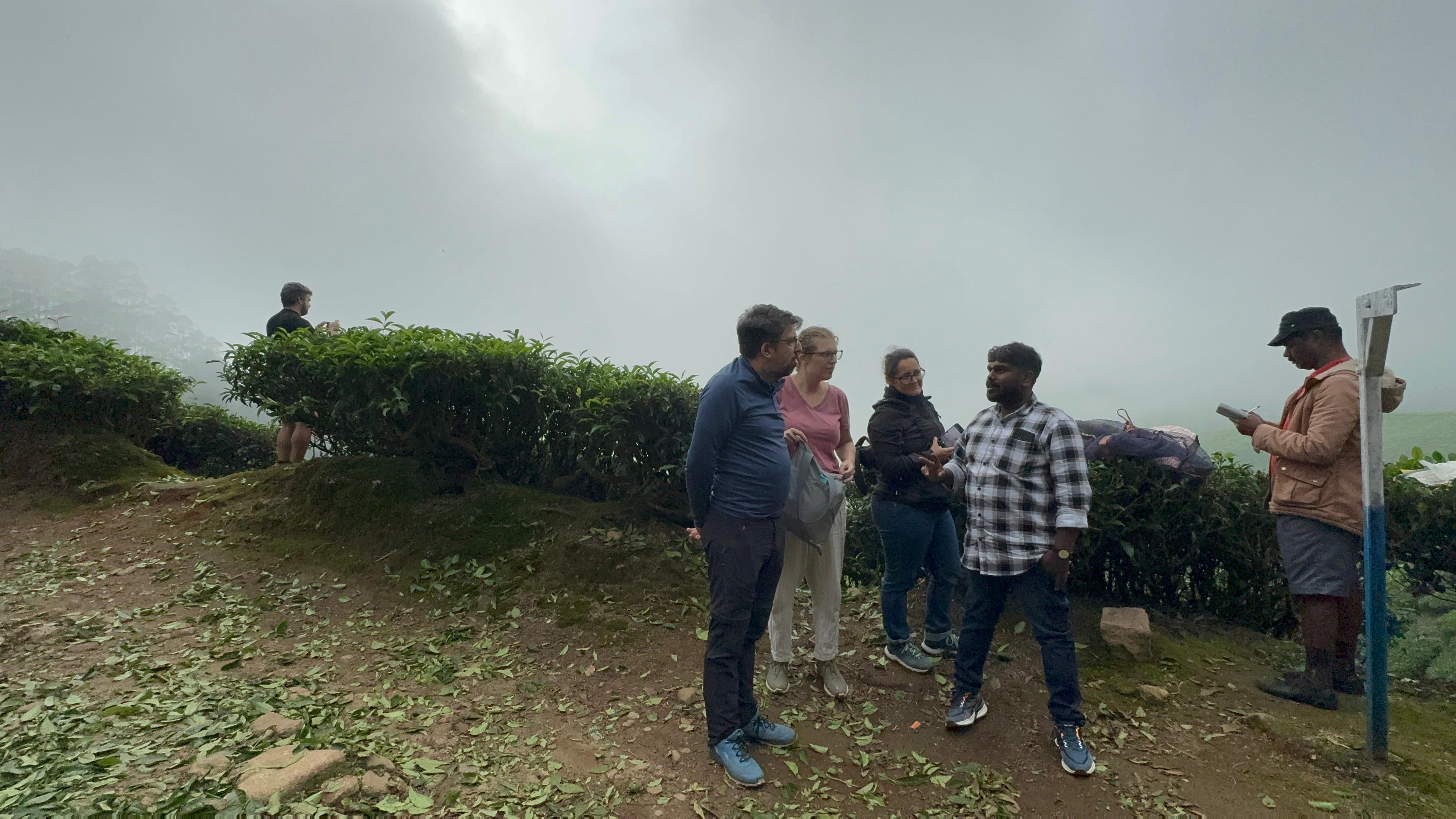 Munnar: Kolukkumalai High-Altitude Tea Estate Jeep Adventure