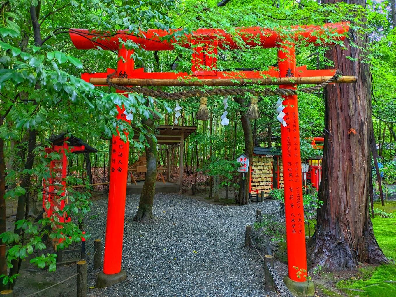 Kyoto & Arashiyama Cultural Explorer Day Trip
