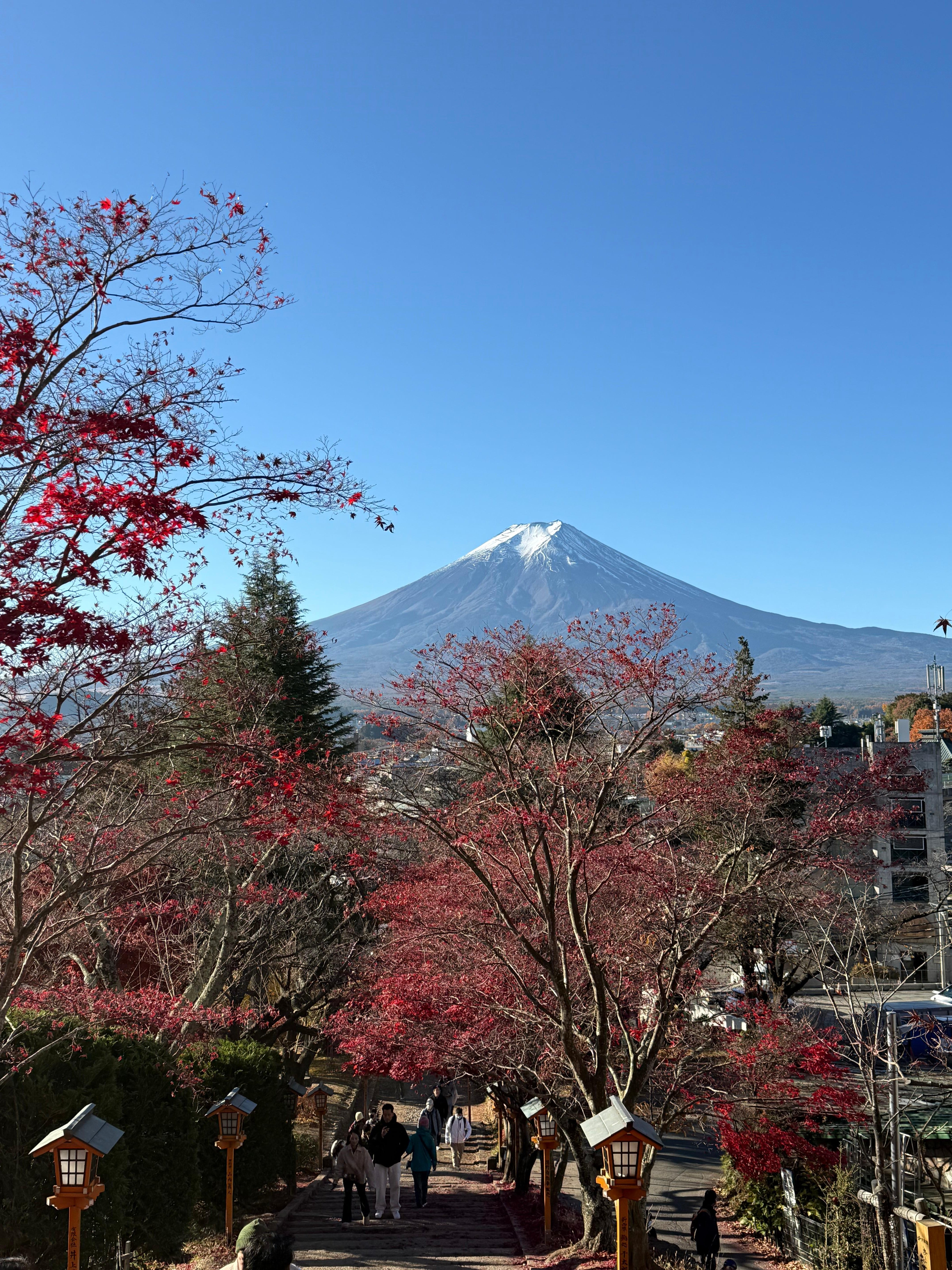 Tokyo to Mt. Fuji & Hakone Private Day Tour