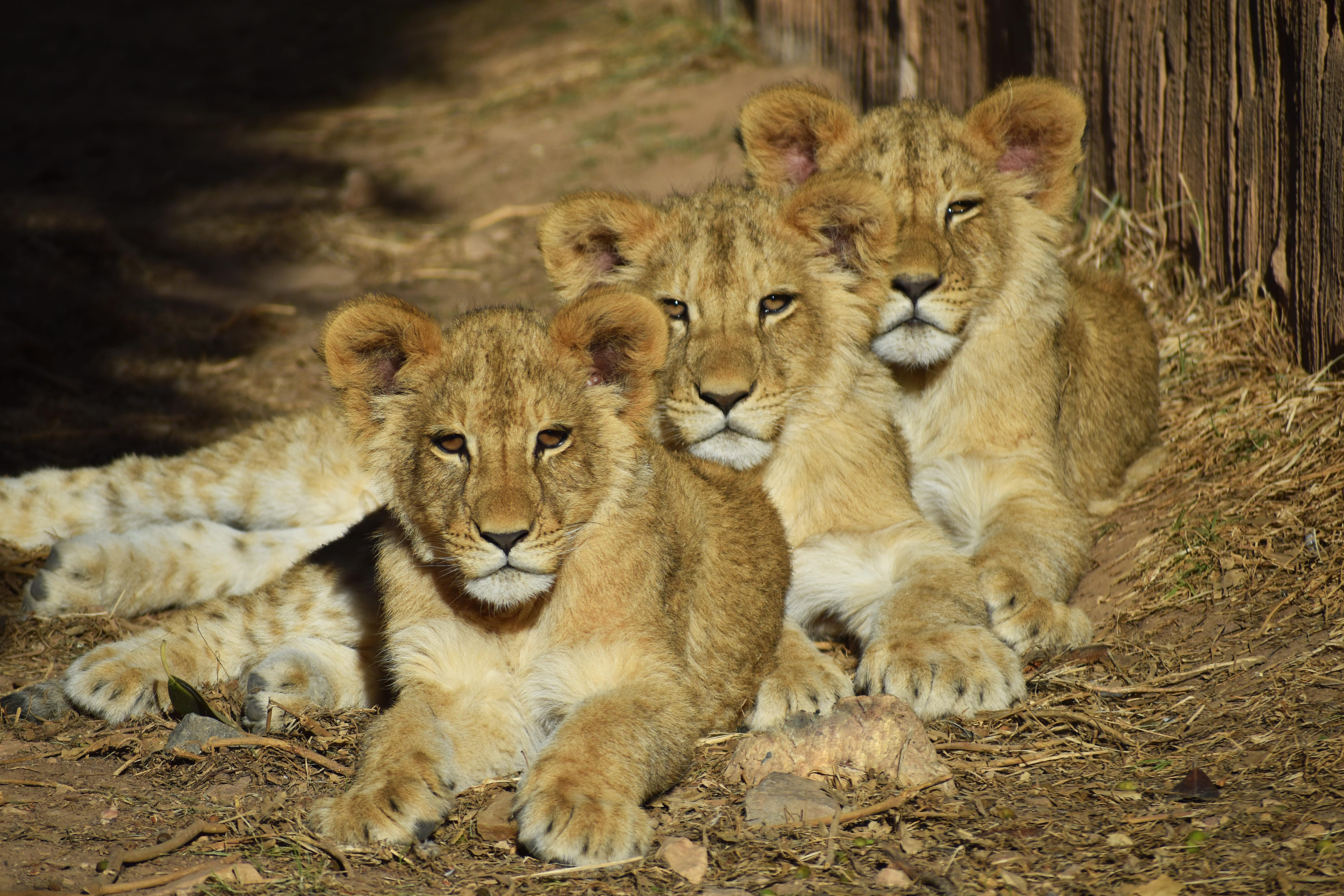 Terra Natura Murcia Admission Ticket