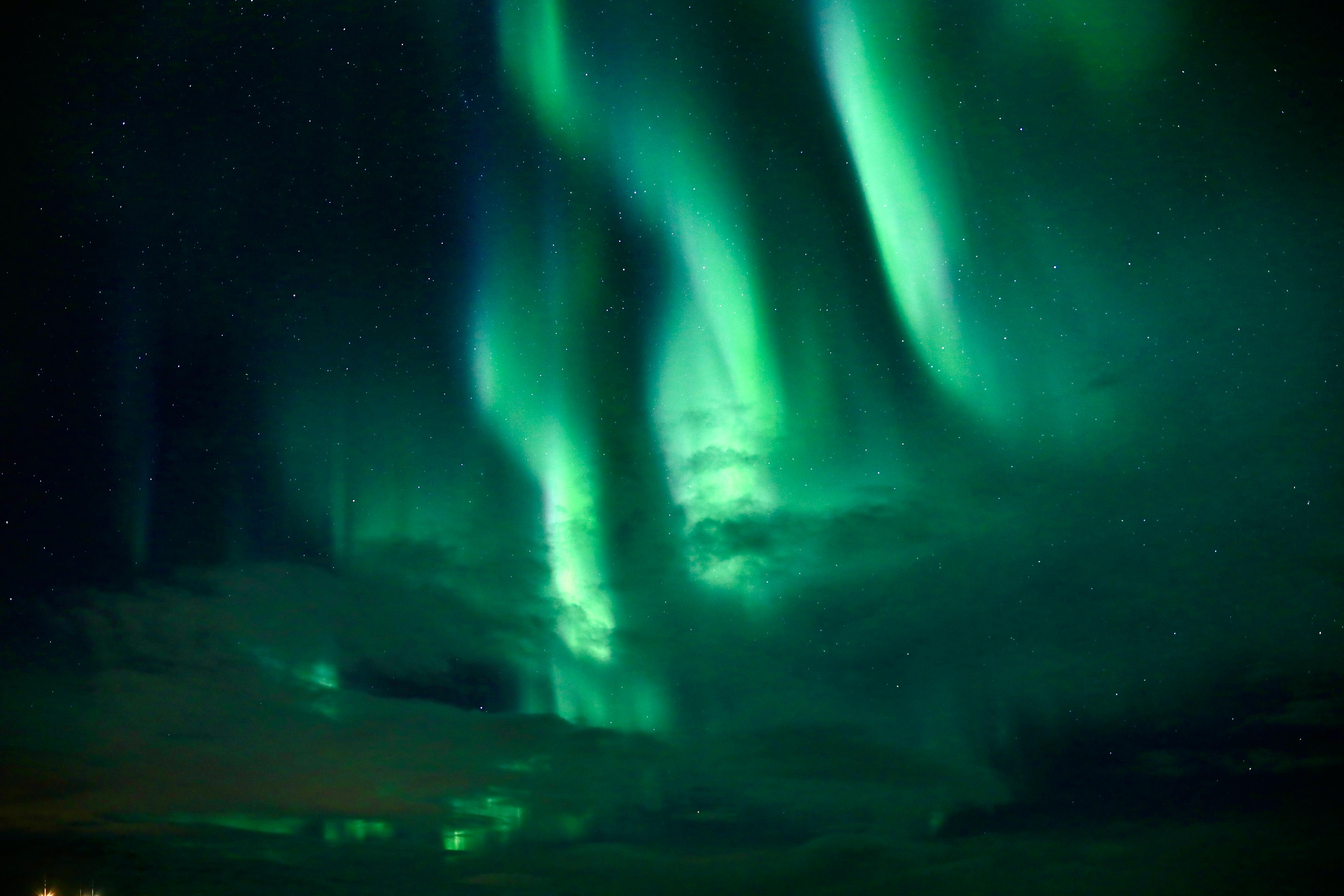 Northern lights tour, image 6