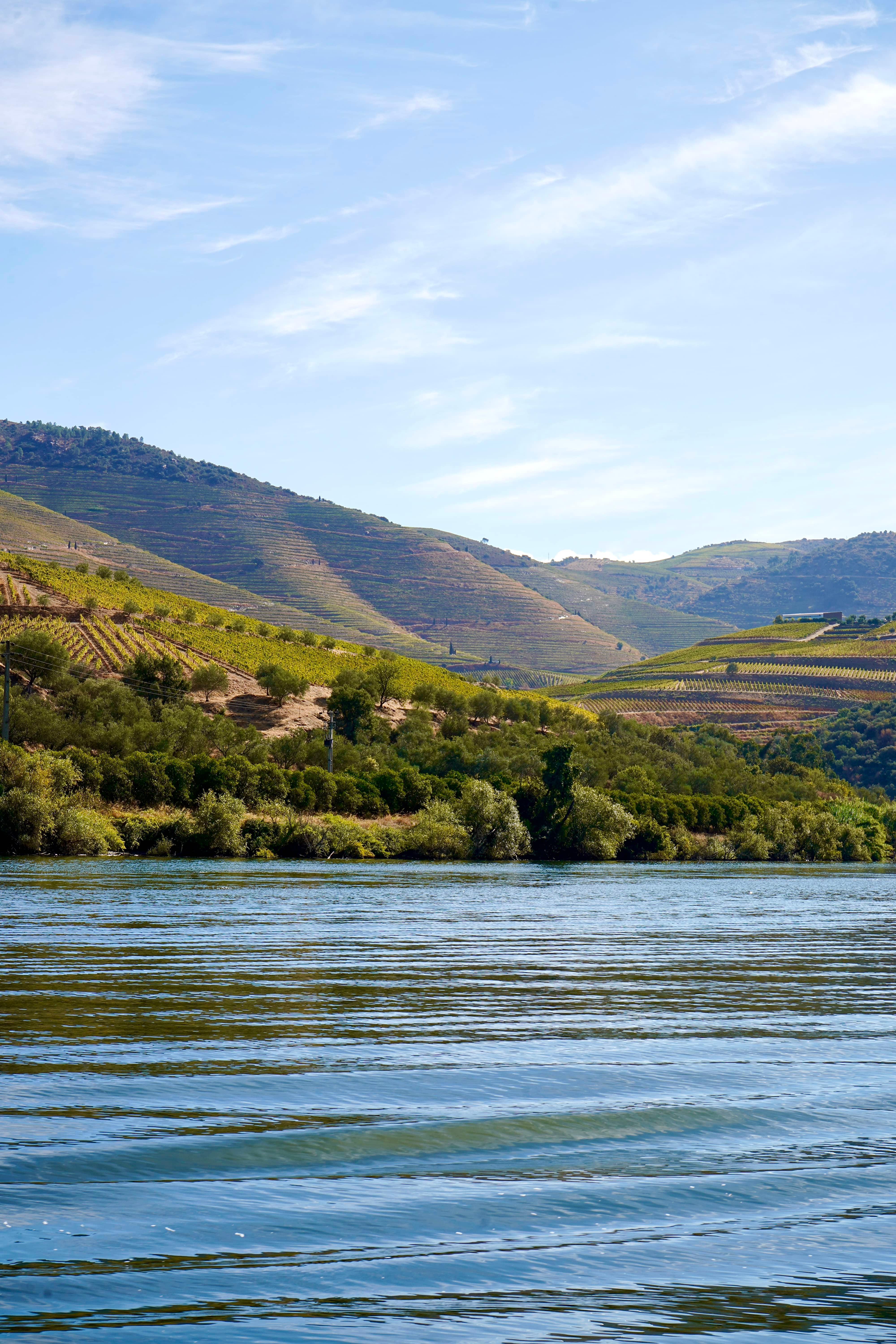 Douro Valley Wine & Boat Experience from Porto