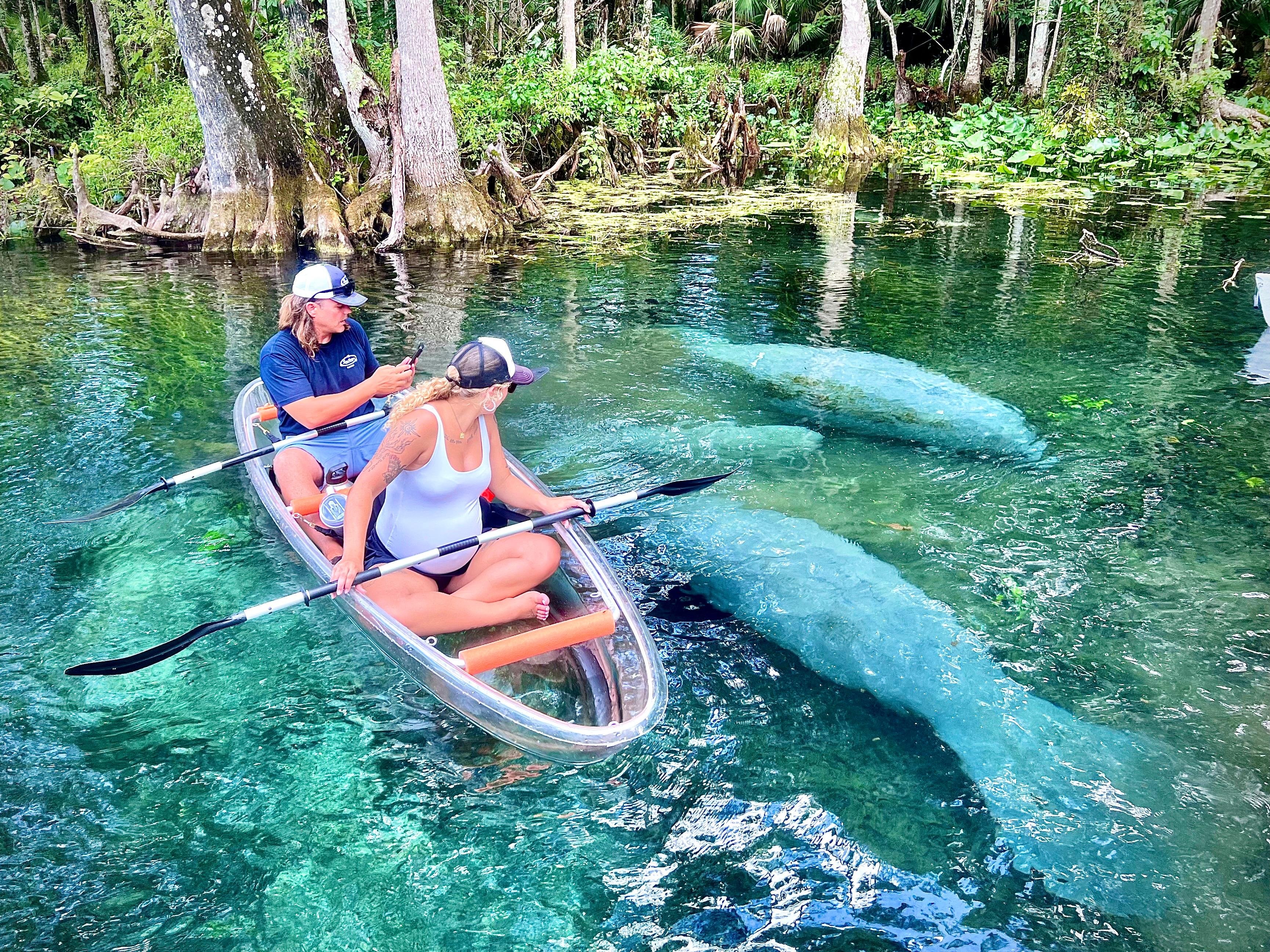 Silver Springs Kayak Safari: Manatees & Wild Monkeys