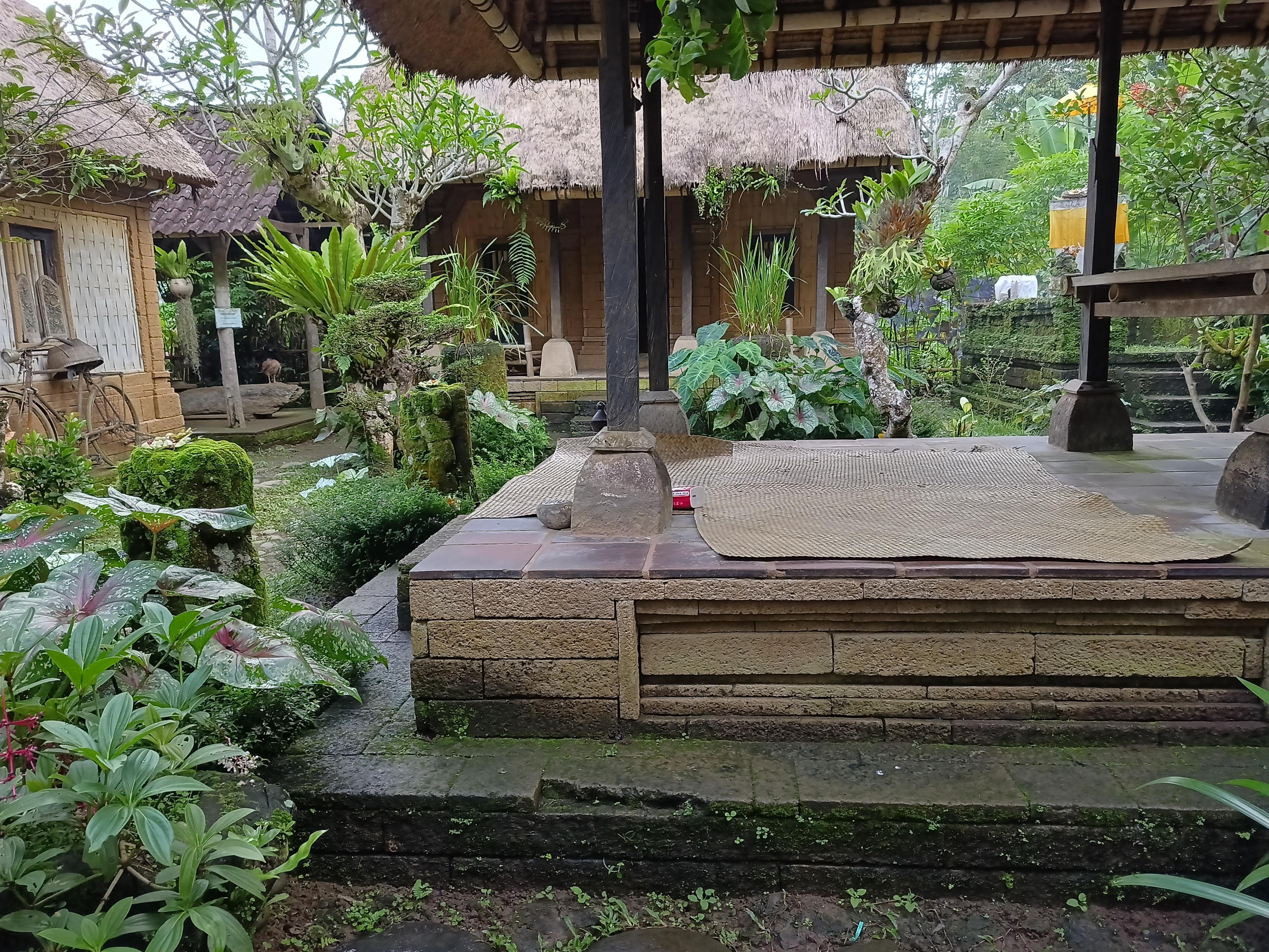Ubud Cultural Discovery: Sacred Springs, Rice Terraces & Waterfalls