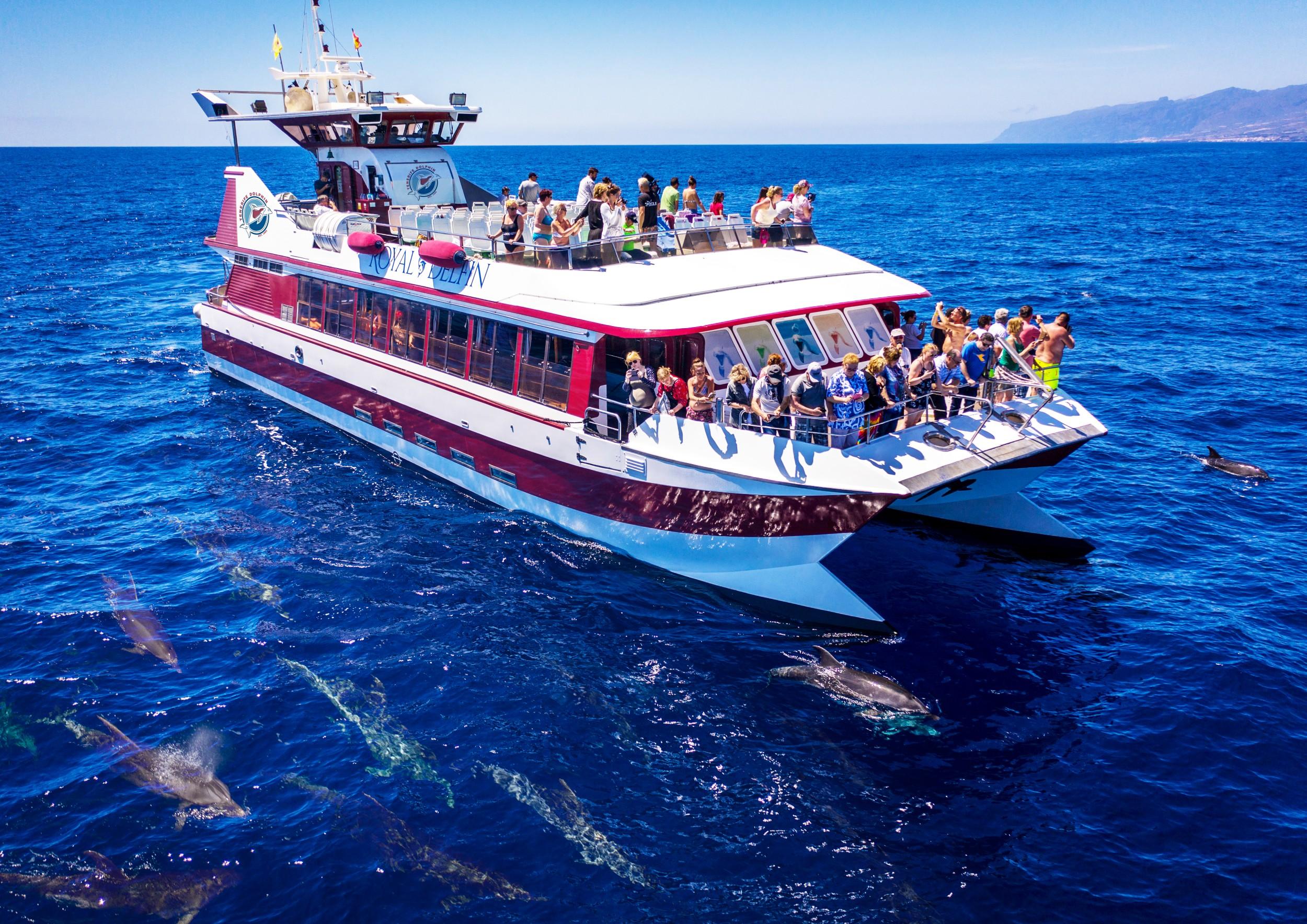 Costa Adeje: Undersea Vision Dolphin & Whale Catamaran Cruise