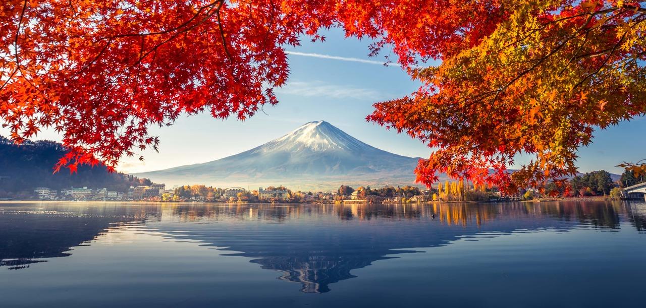 Mt. Fuji Day Tour: Scenic Stops & Lake Kawaguchi Cruise from Tokyo