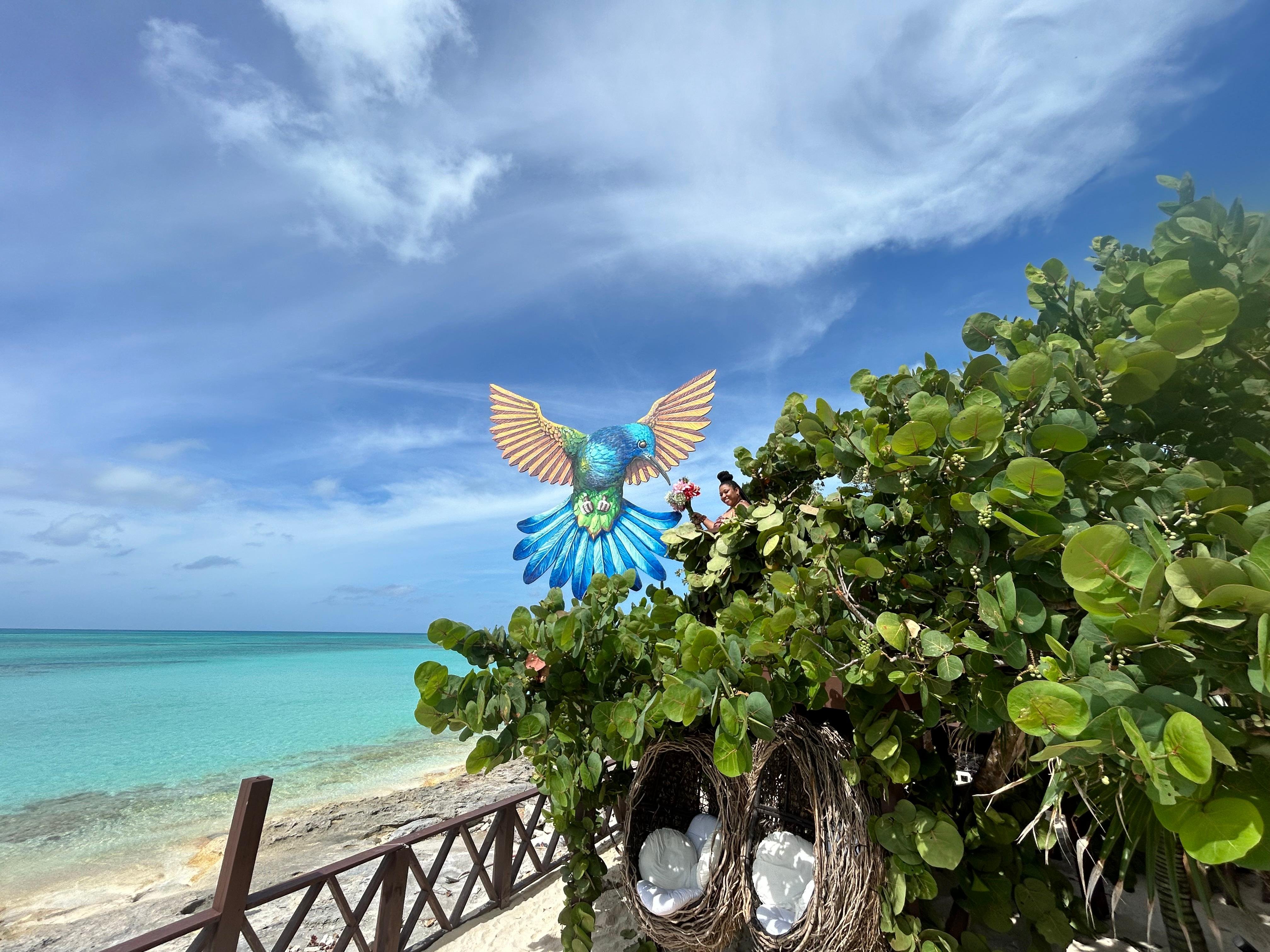 Nassau Powerboat Adventure: Snorkeling, Turtles & Private Beach Club