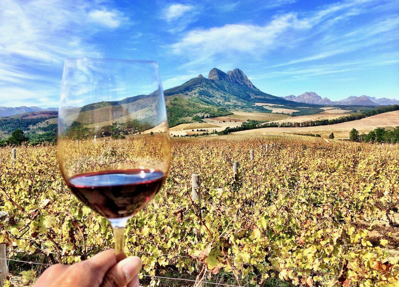 Private Cape Winelands Day Tour with Lunch