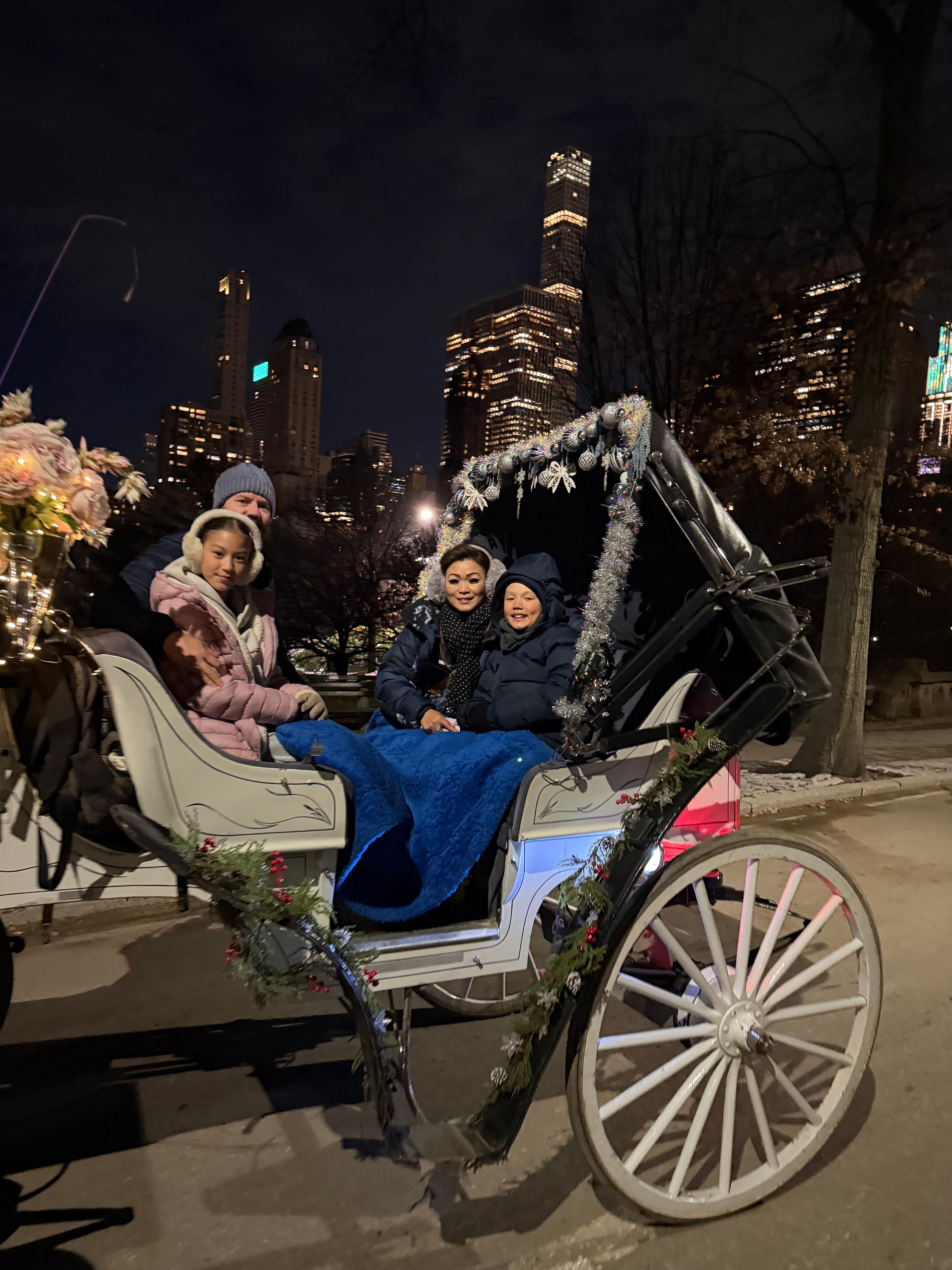 Private Central Park Horse Carriage Tour with Guide