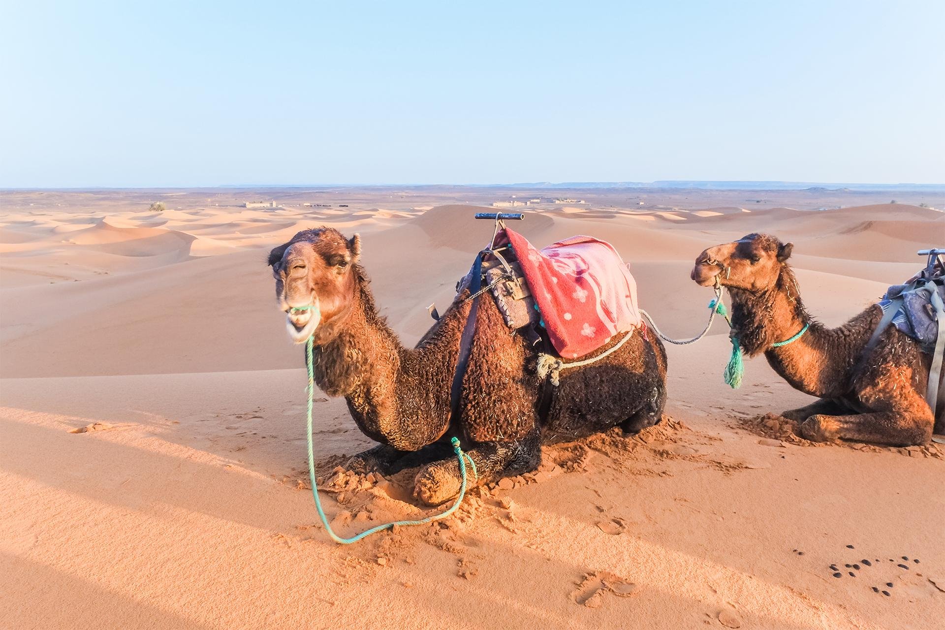 Private 5-Day Marrakech to Zagora & Merzouga Desert Tour