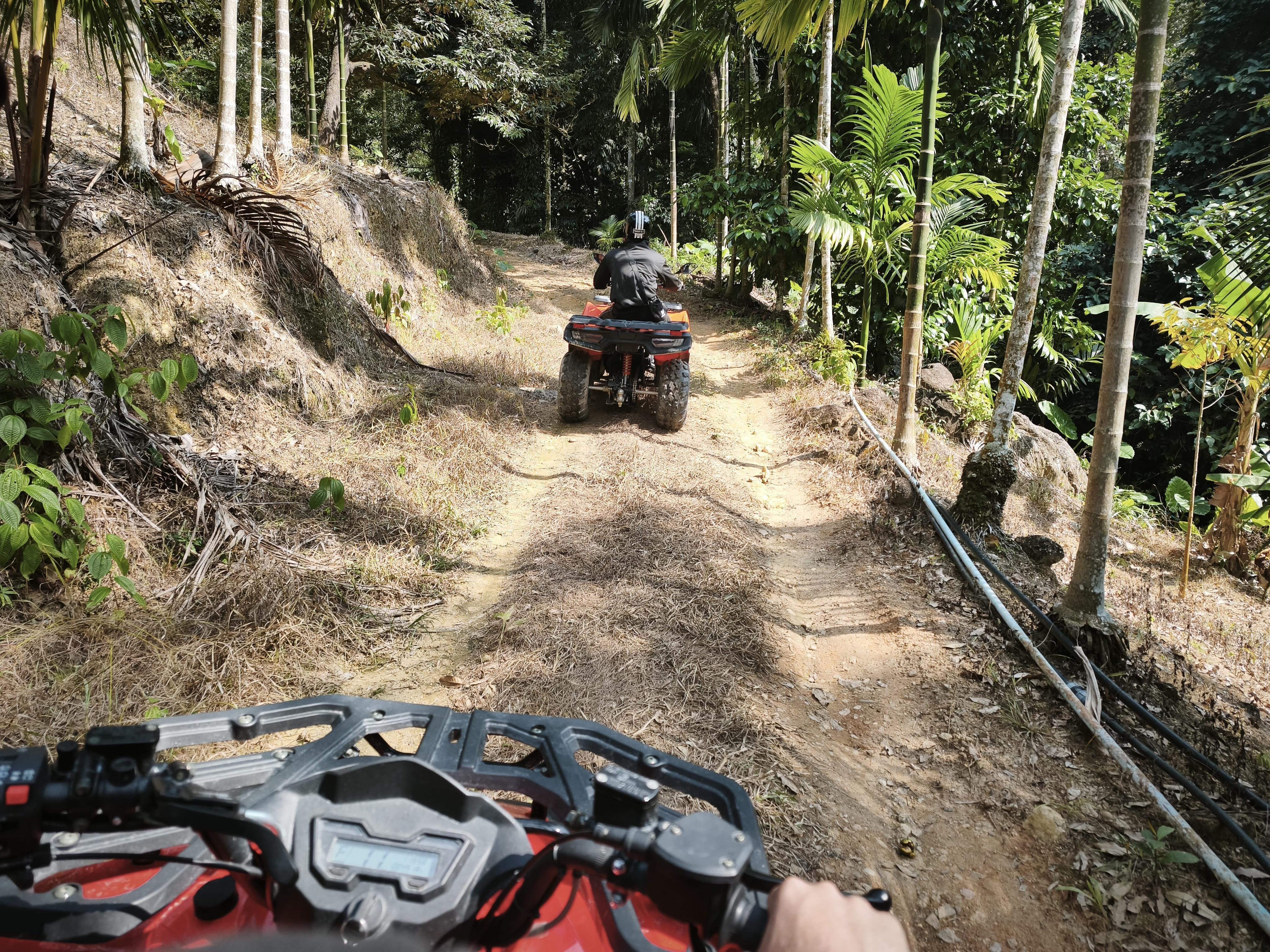 Koh Samui Jungle ATV Off-Road Expedition