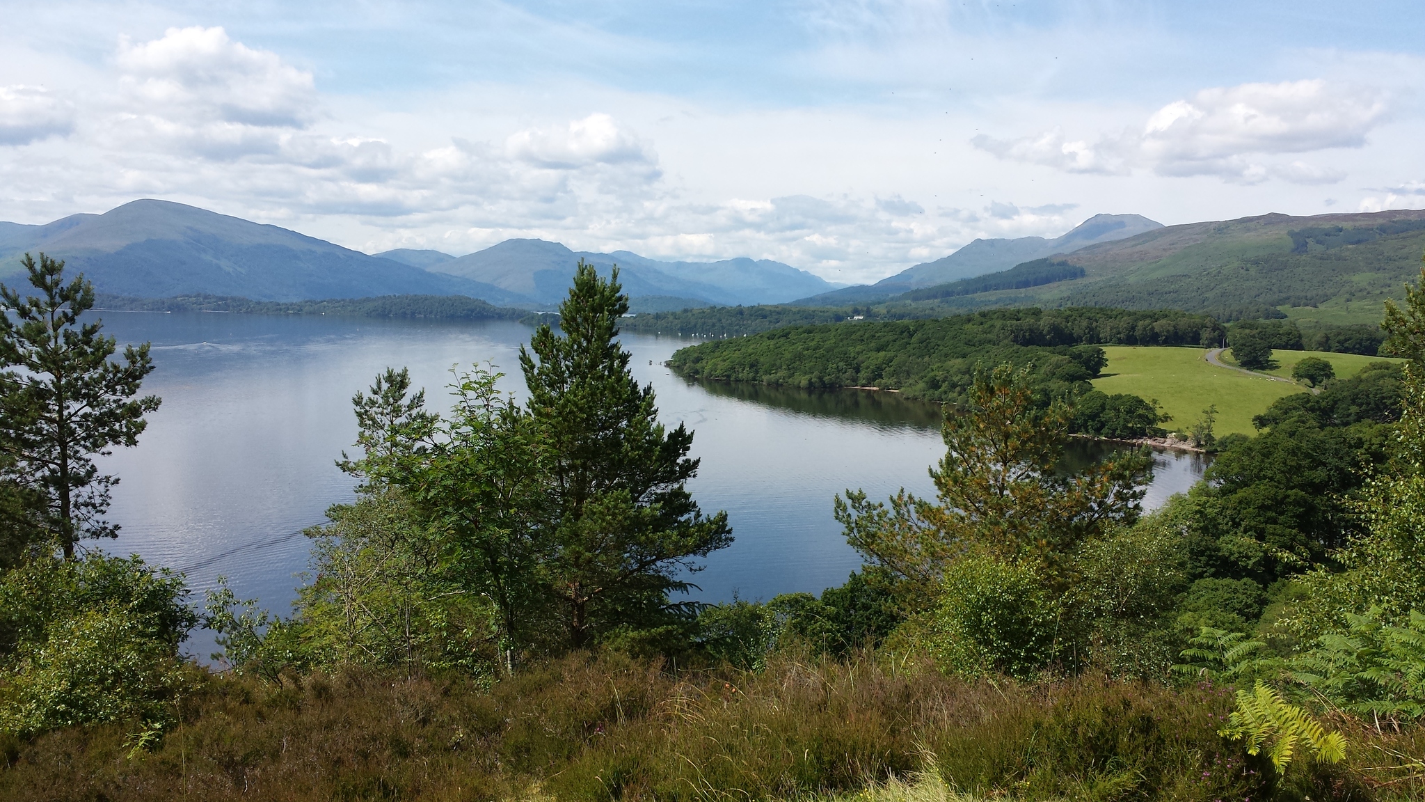 Stirling Castle, Loch Lomond & Whisky Distillery Day Trip