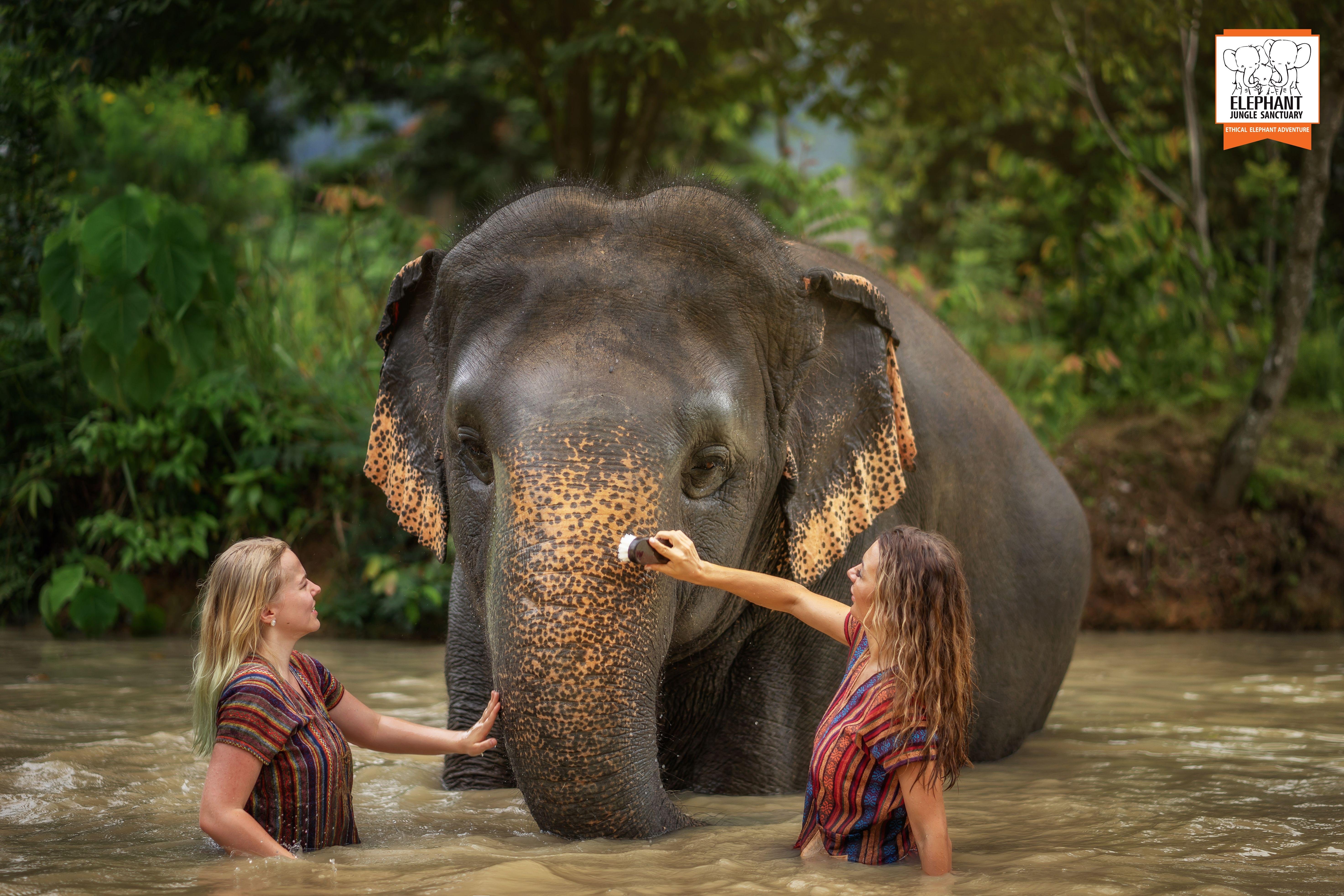Phuket Elephant Jungle Sanctuary Half-Day Tour with Meal