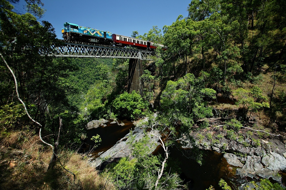Cairns Rainforest Day Tour: Skyrail Cableway, Kuranda Village & Scenic Rail