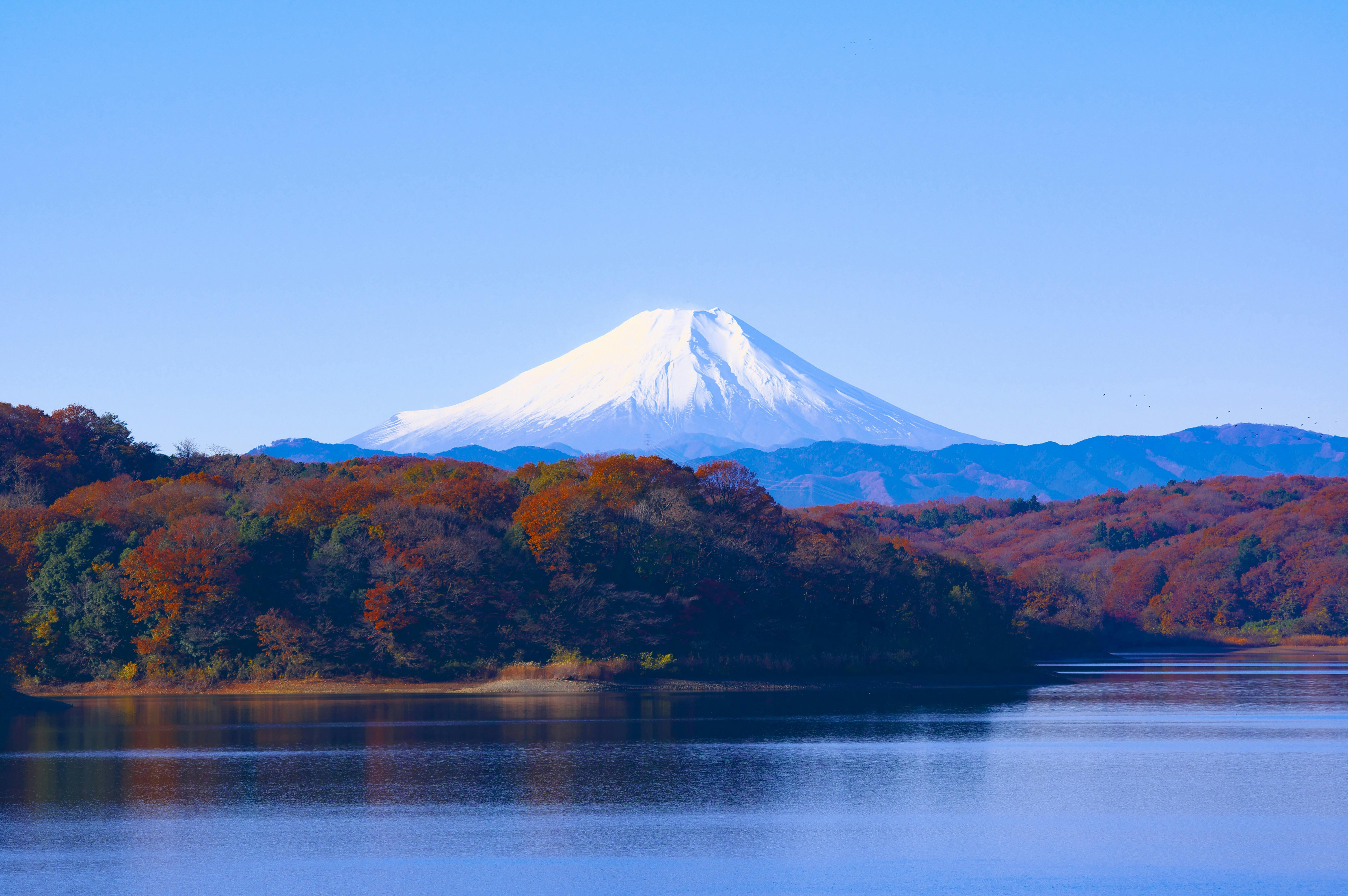 Private Tokyo Day Trip: Mount Fuji & Hakone with English-Speaking Driver