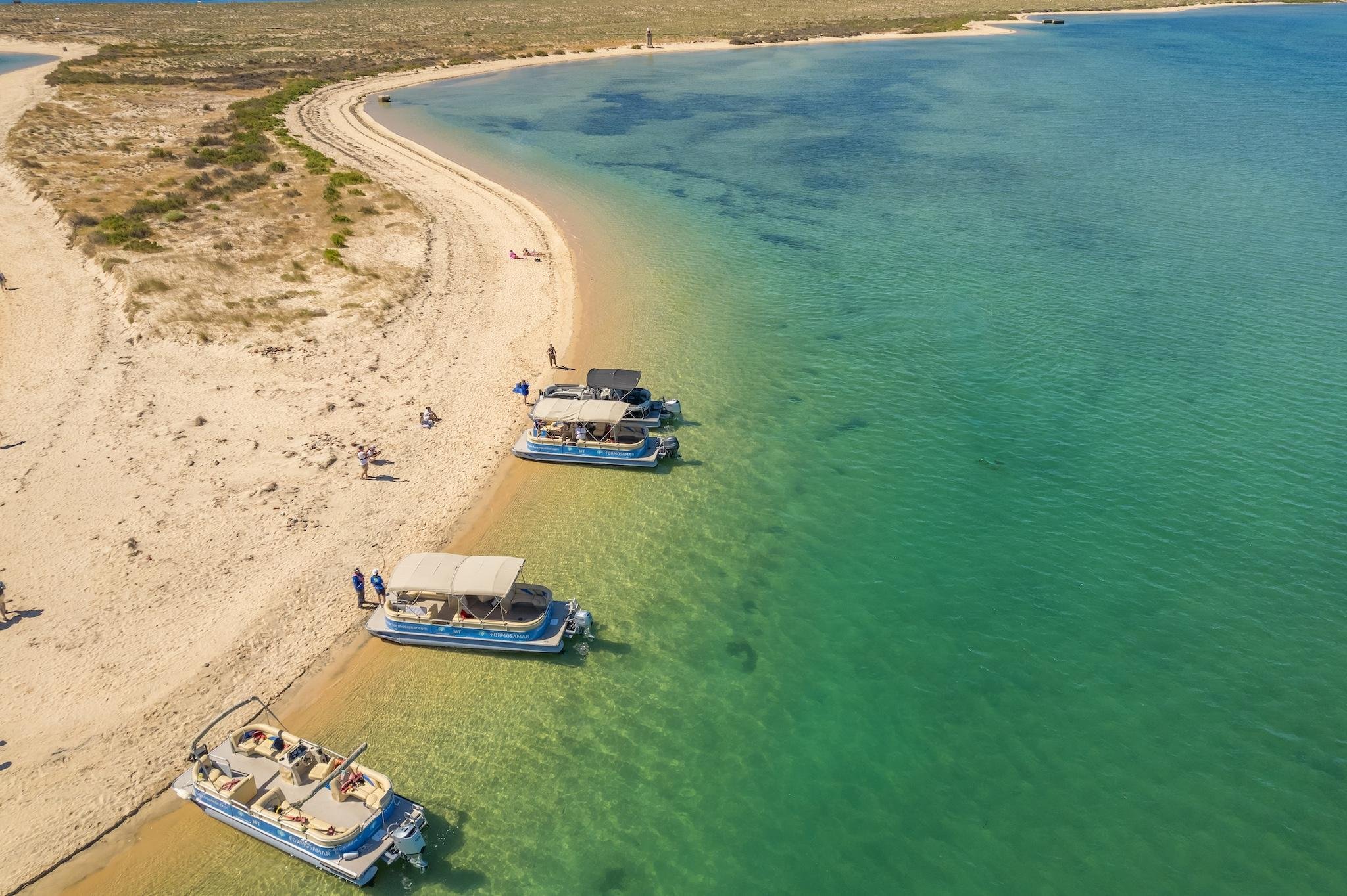 Faro: Escursione in catamarano nella Ria Formosa verso le isole di Farol e Deserta
