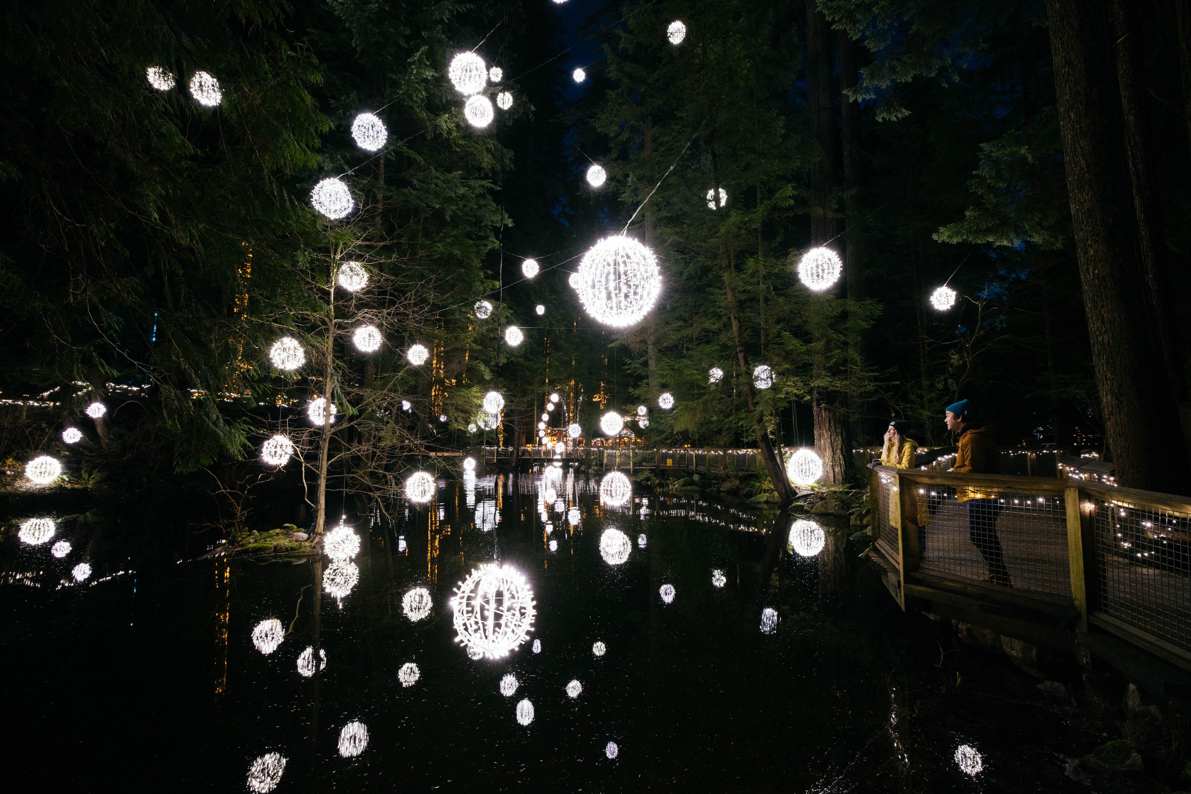 Capilano Suspension Bridge Park Entry