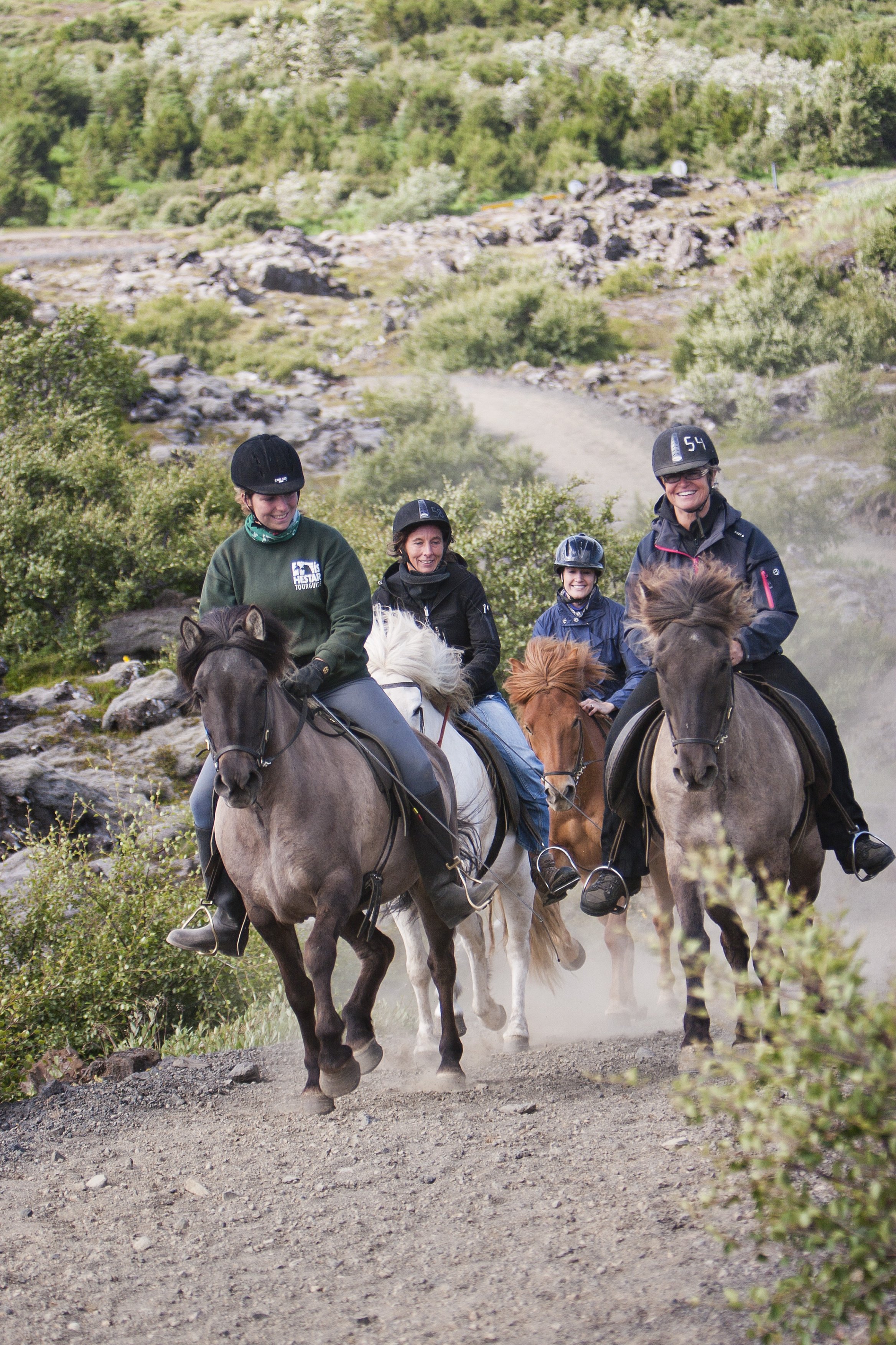 Viking Horseback Adventure from Reykjavík
