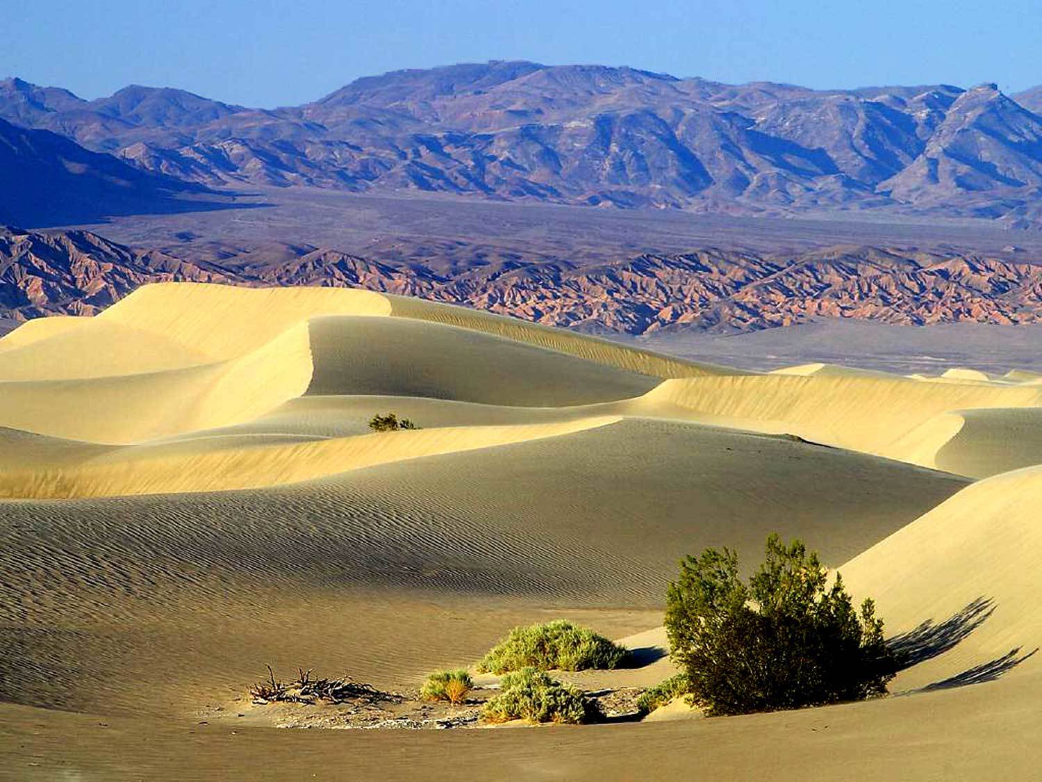Death Valley Day-Tour from Las Vegas