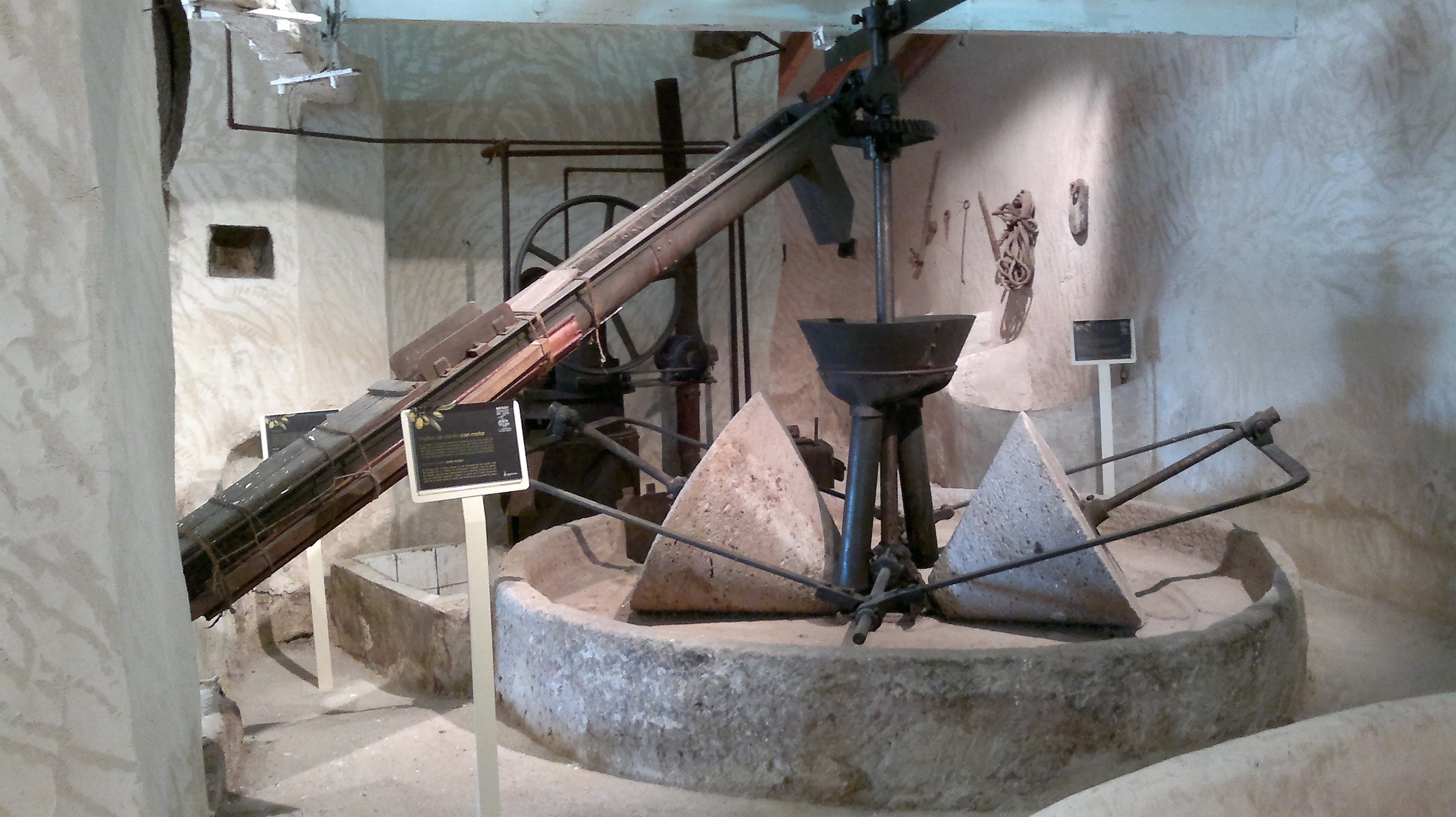 olive oil tasting in Seville — photo 2