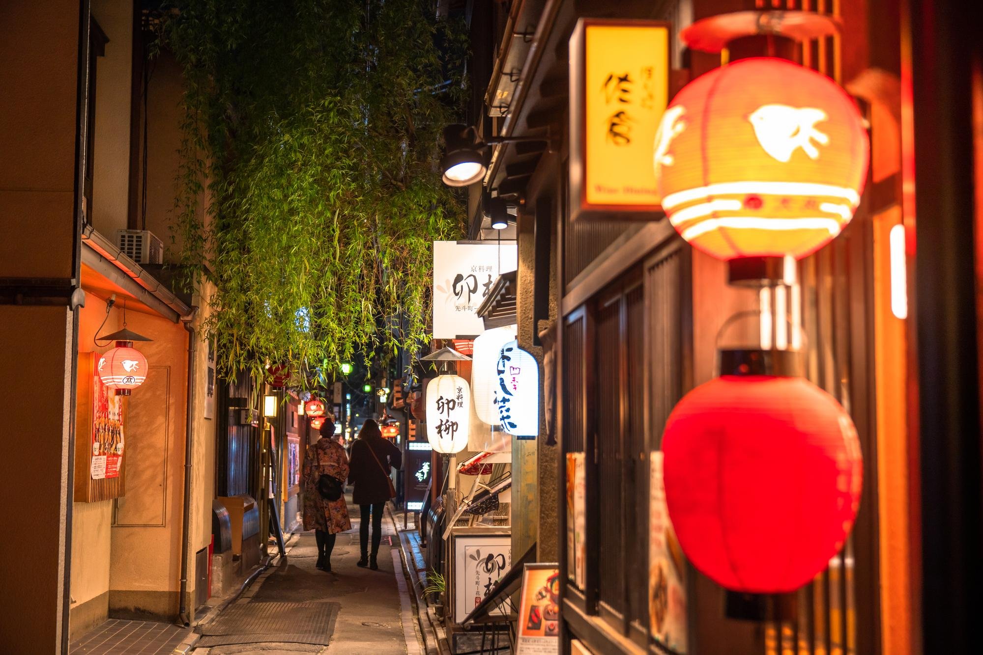 Kyoto Gion & Pontocho Evening Food & Sake Tour