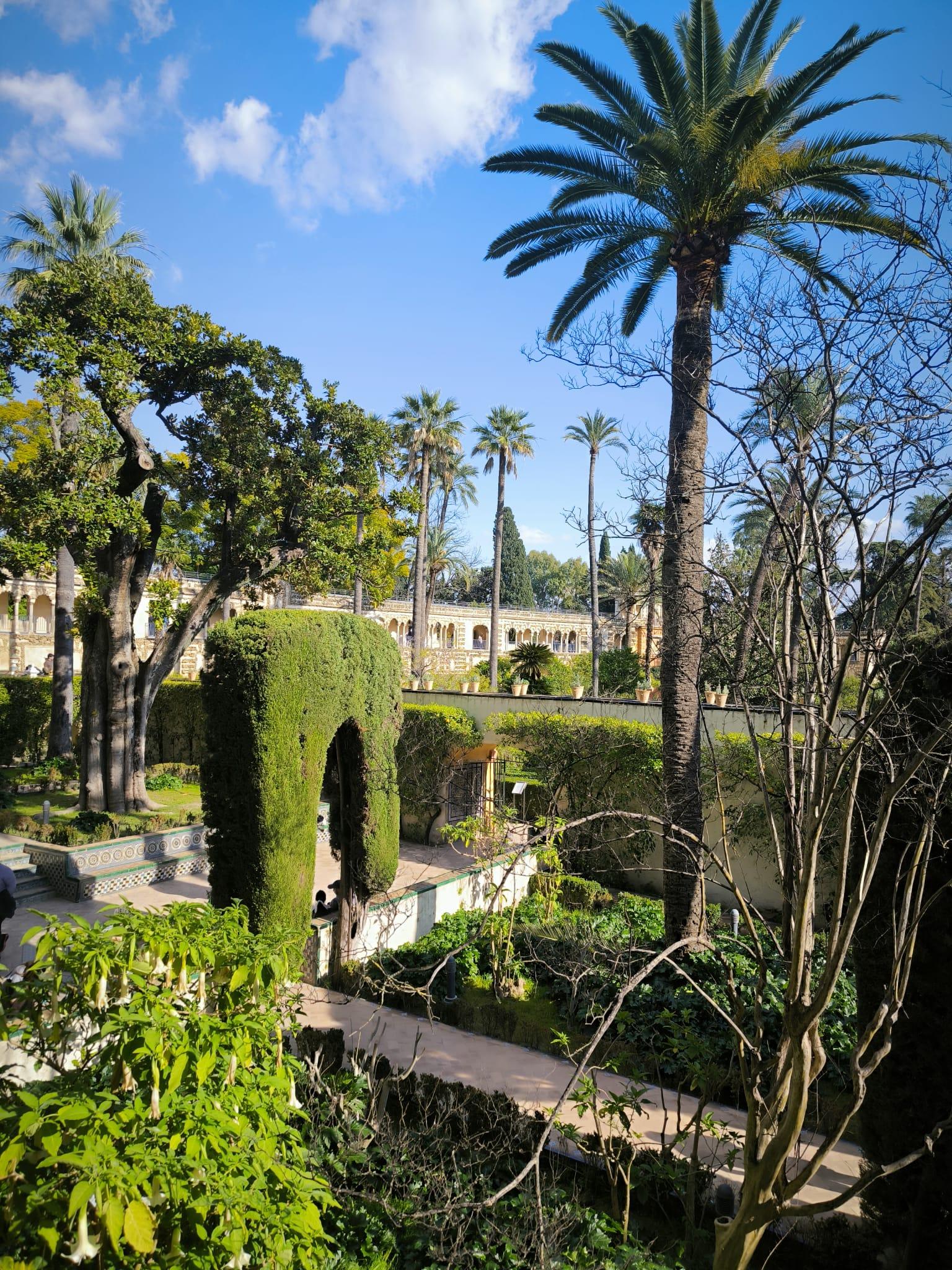 Royal Alcázar of Seville Guided Walking Tour
