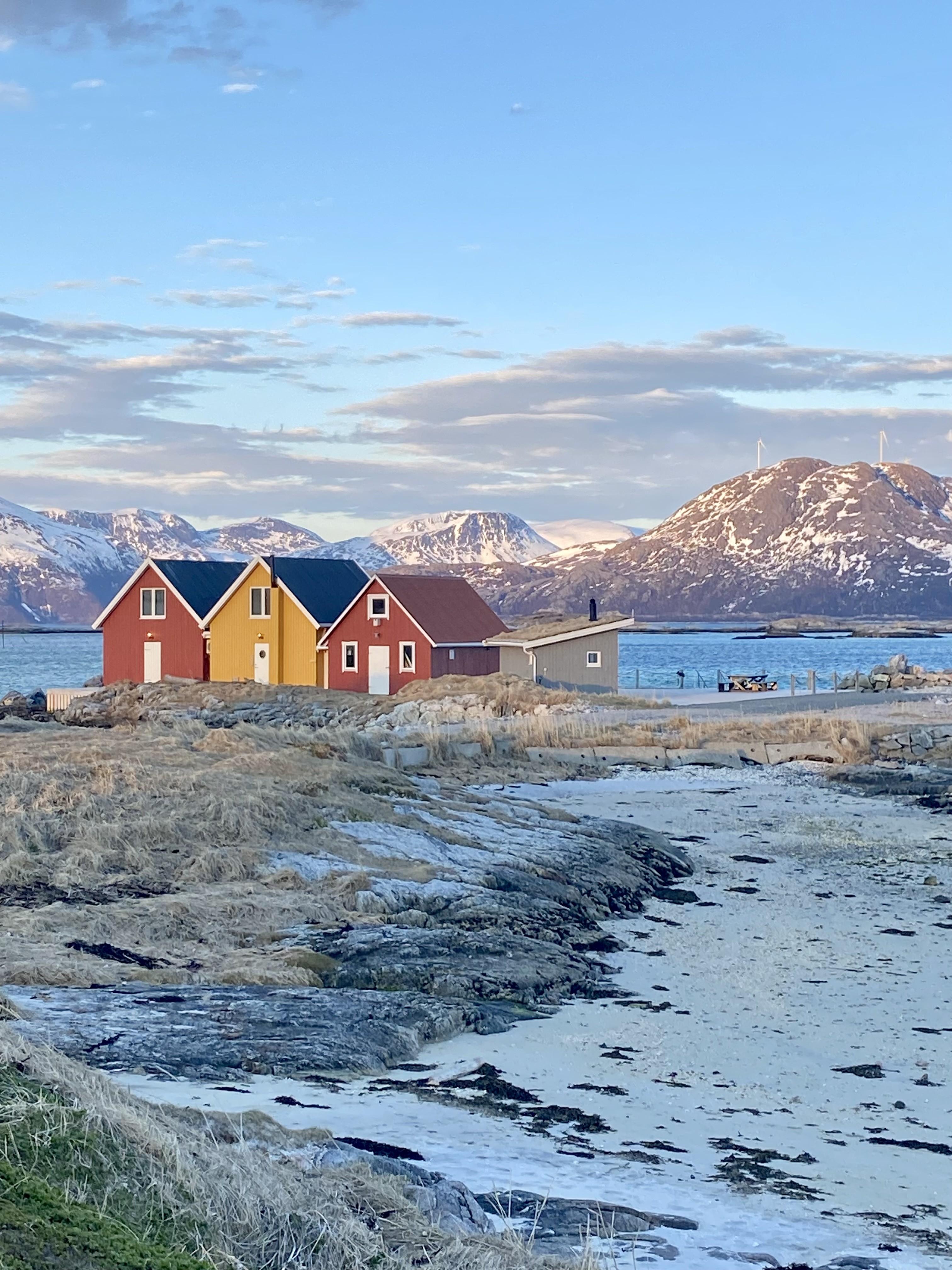 Tromsø: Sommerøya and Kvaløya Arctic Fjords Tour with Lunch — Sommarøy island Norway tour photo 4