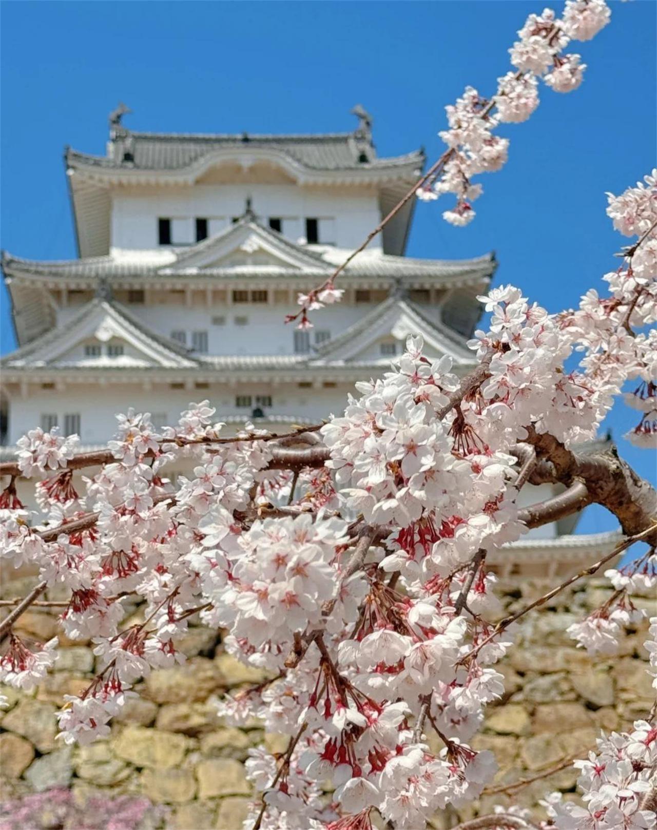 Osaka: Himeji Castle, Arima Onsen & Mount Maya Small-Group Trip