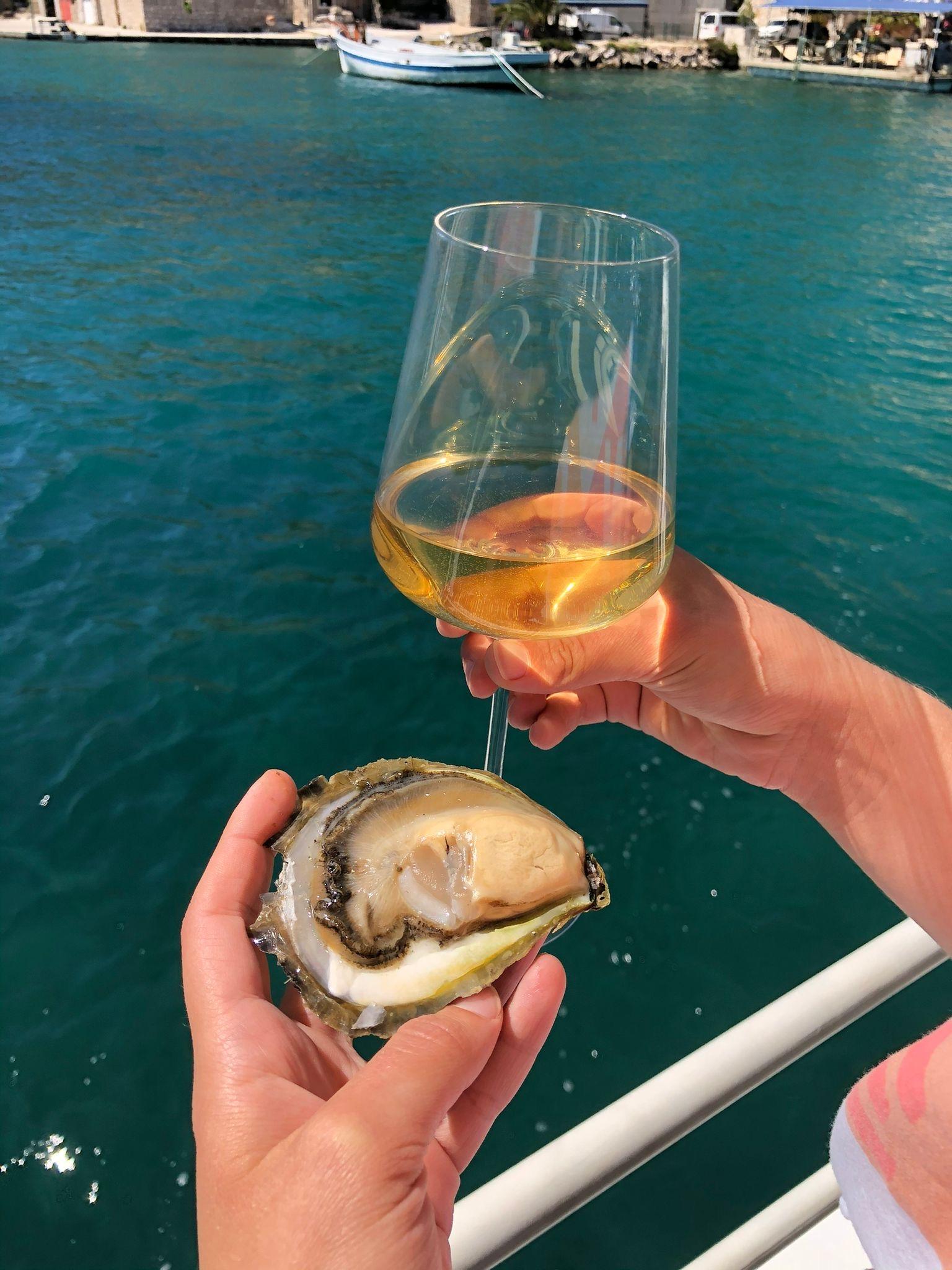 Pelješac Oyster Farm & Wine Tasting Adventure