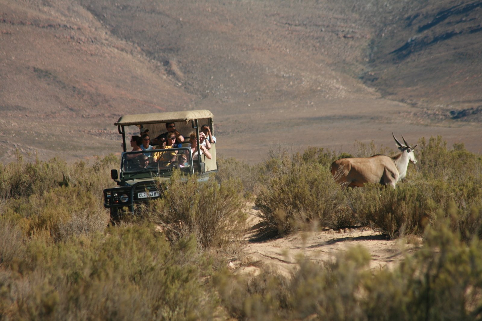 Aquila Big Five Safari Day Trip from Cape Town
