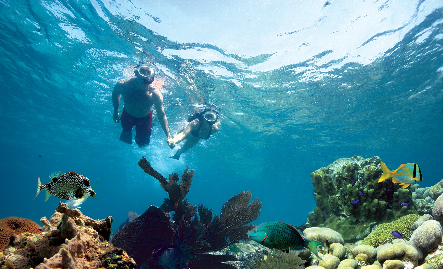 Key West Coral Reef Snorkeling with Drinks & Sunset Sailing