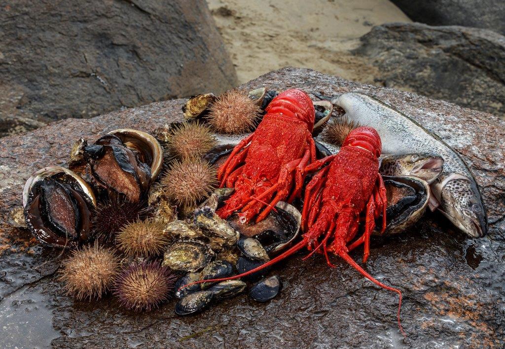 Hobart Full-Day Gourmet Seafood Cruise