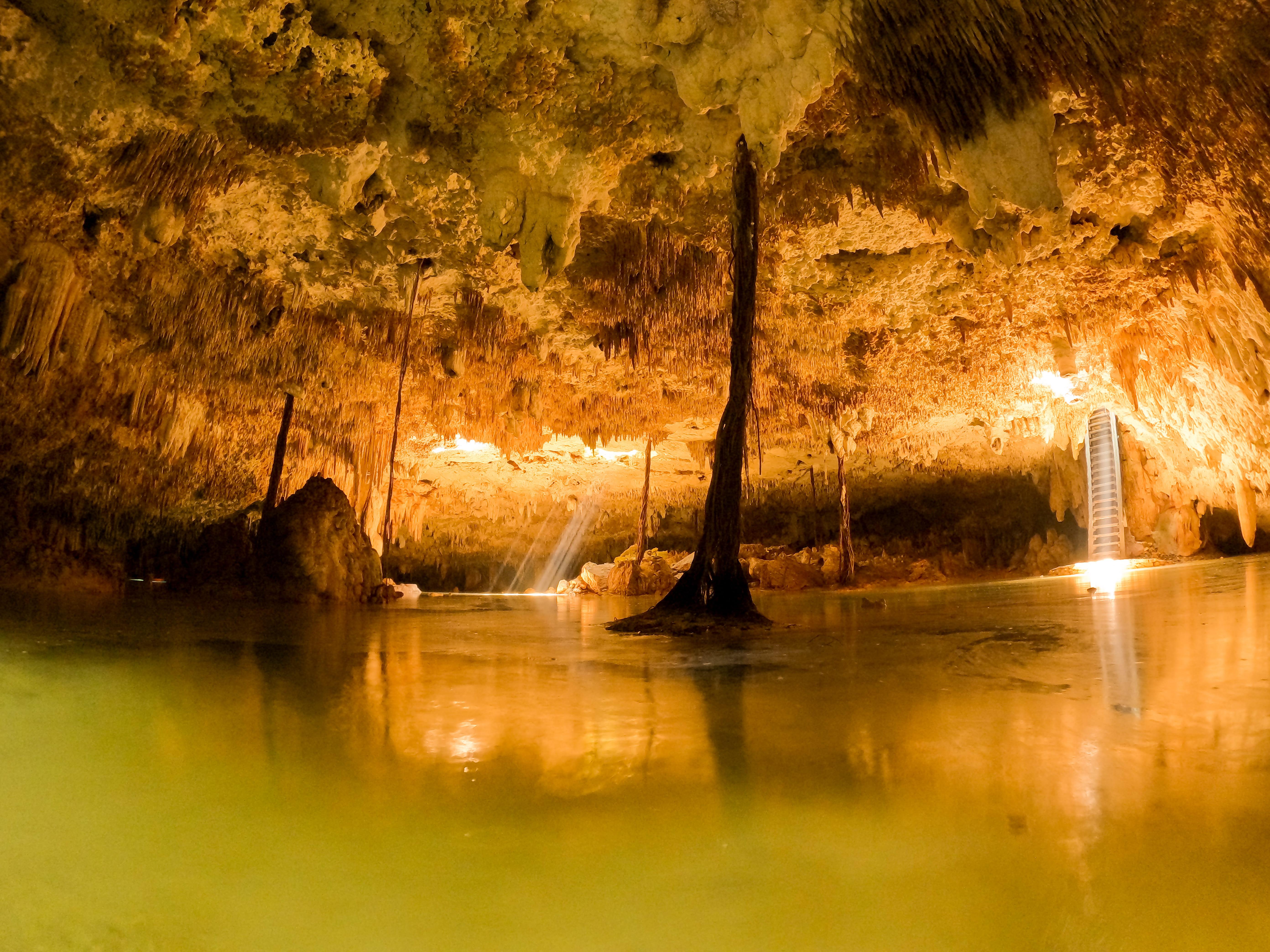 Tulum Cave Cenotes Jungle Walk & Community Meal