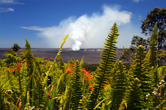 Big Island Volcano Adventure from Oahu