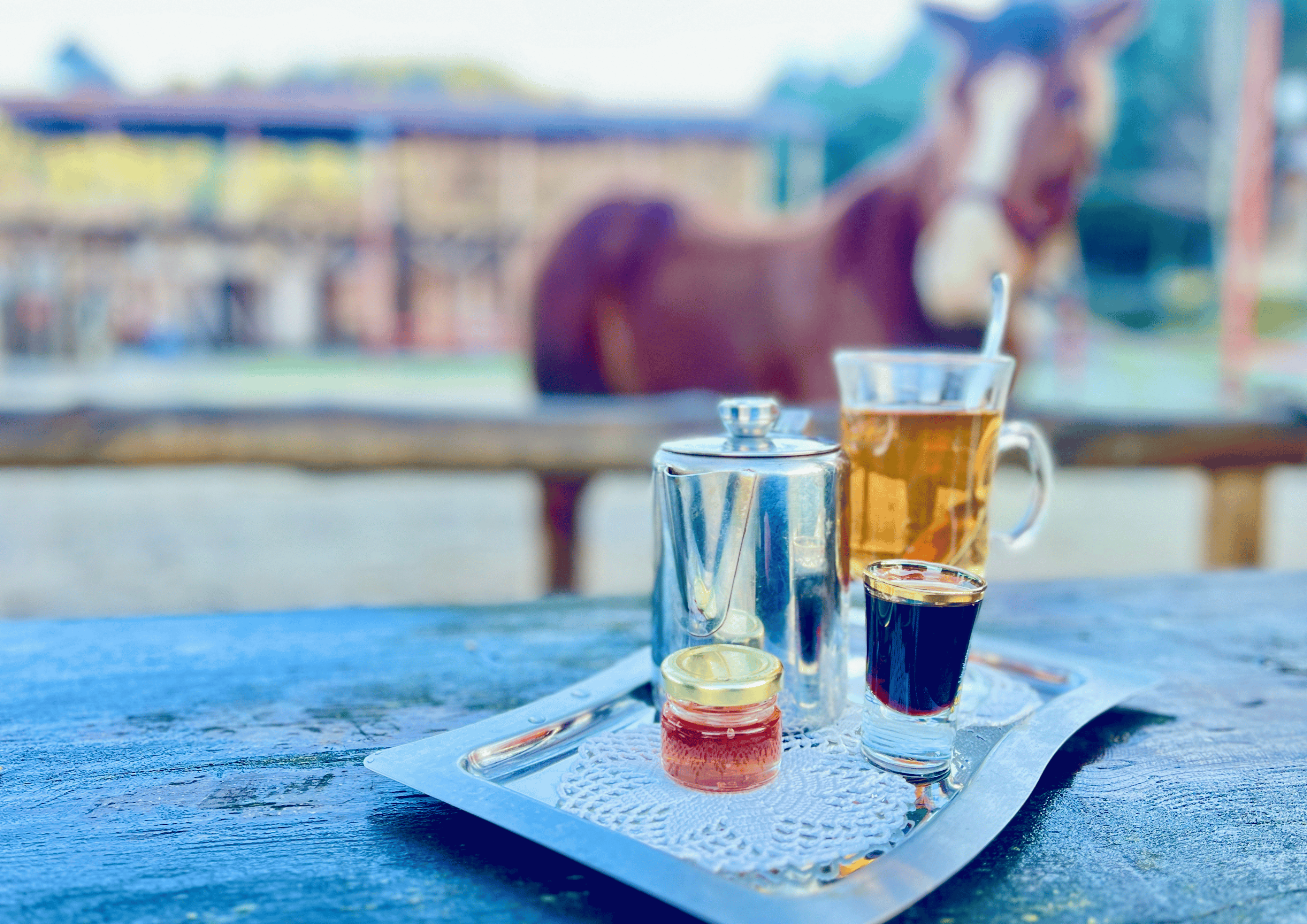 Mountain Horseback Riding & Hot Springs Experience