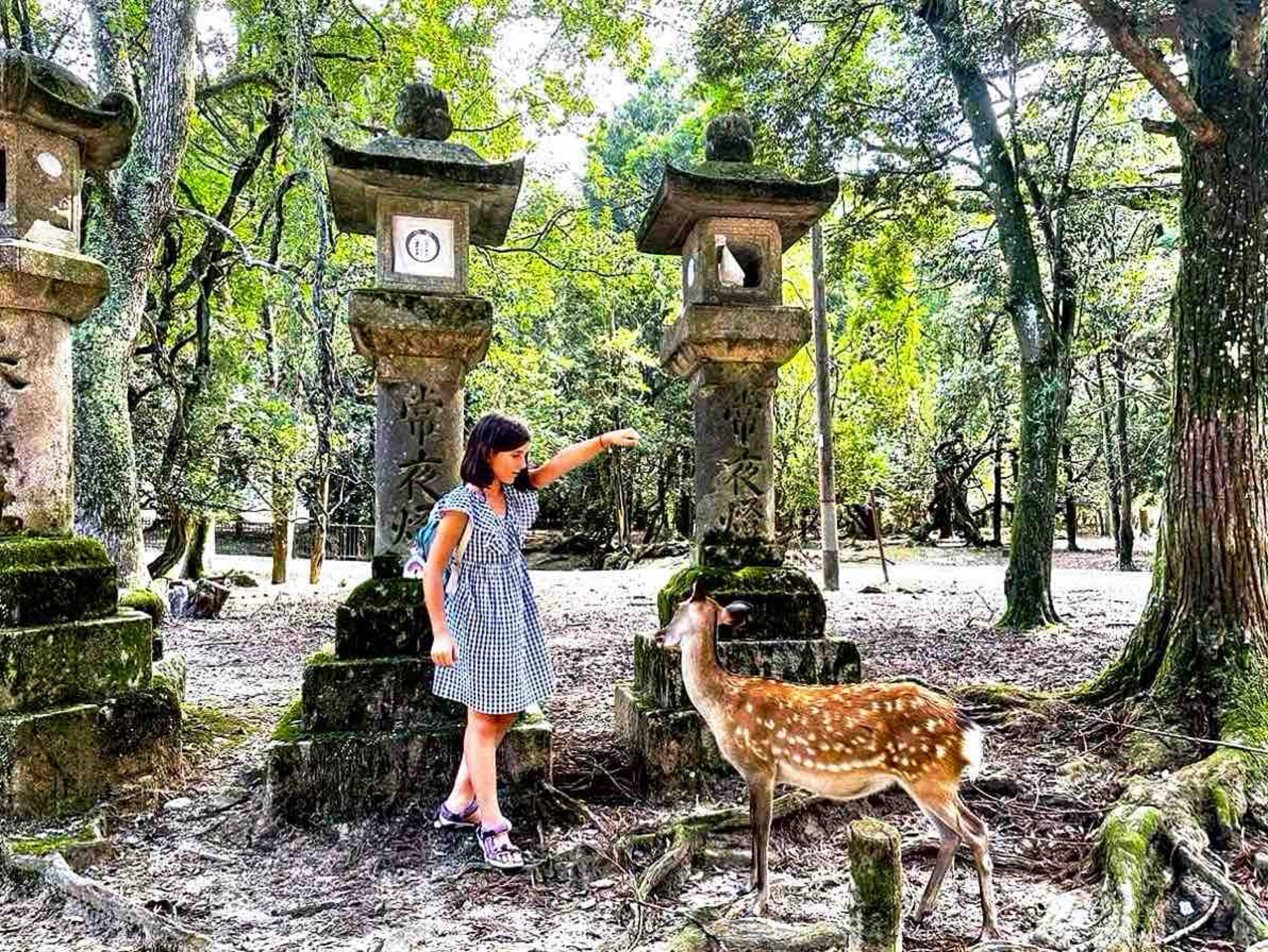 Private Kyoto & Nara Custom Day Tour with Hotel Pickup