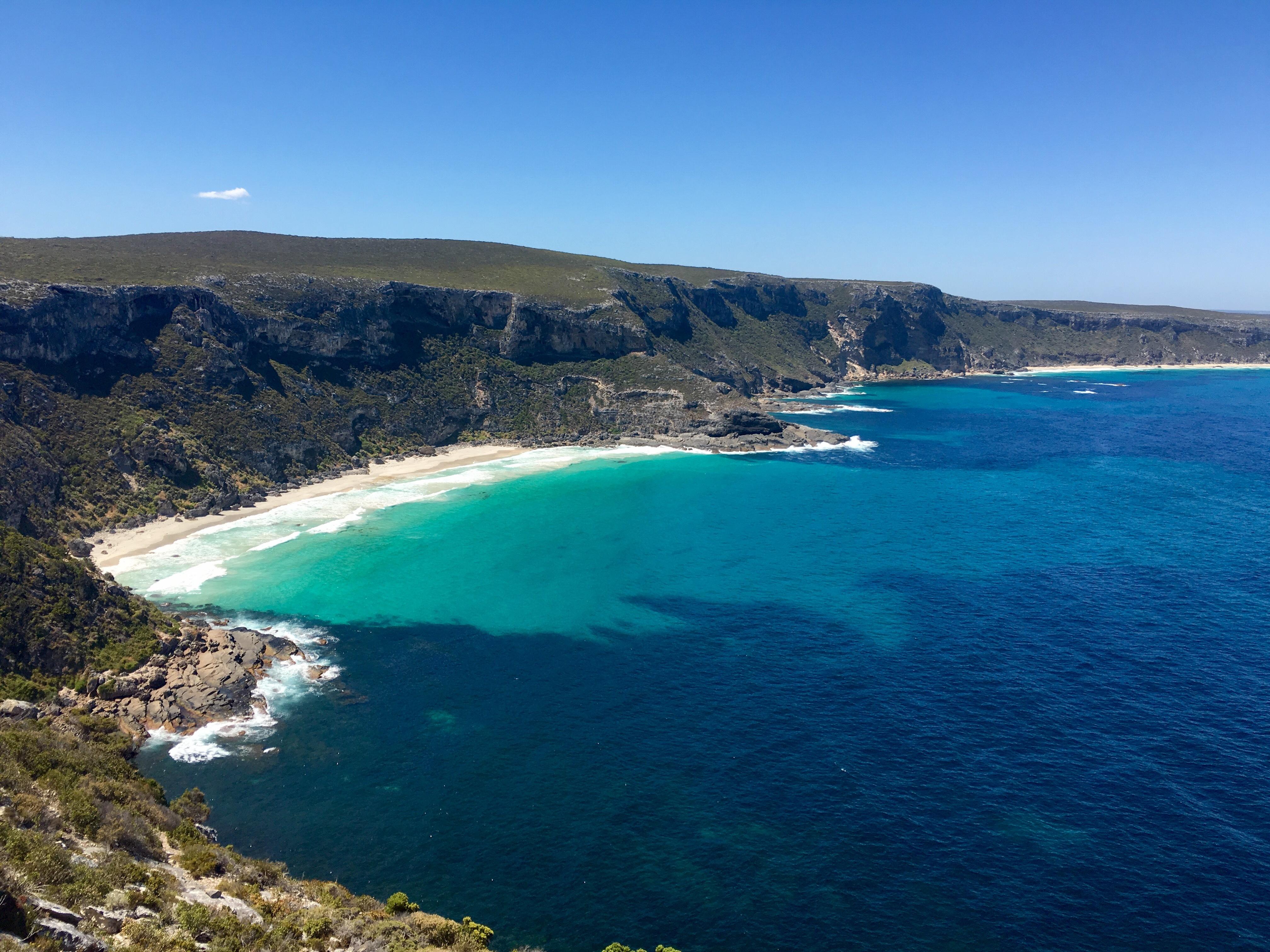 Kangaroo Island Small-Group Scenic & Wildlife Day Tour